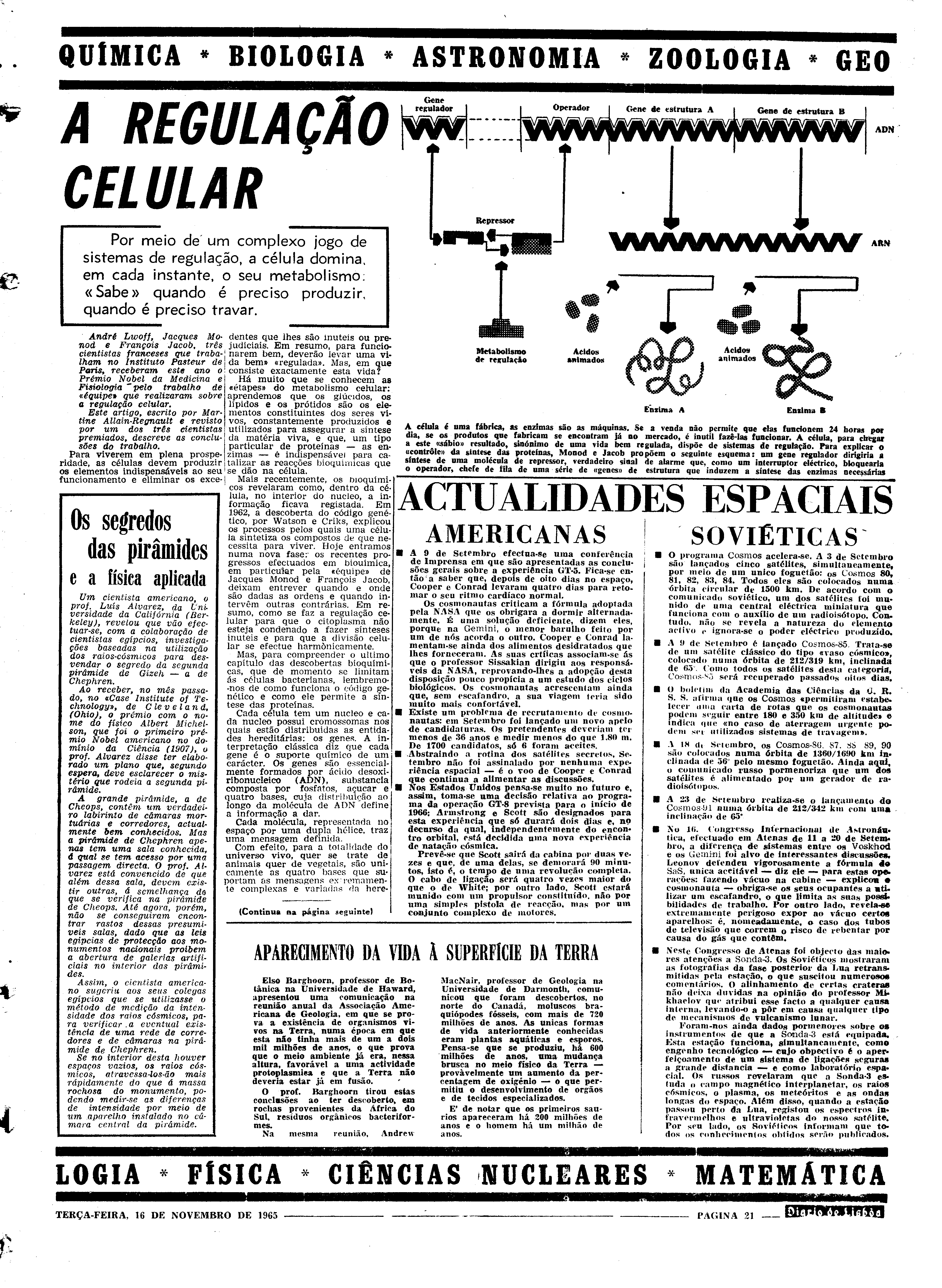 06564.102.19990- pag.21