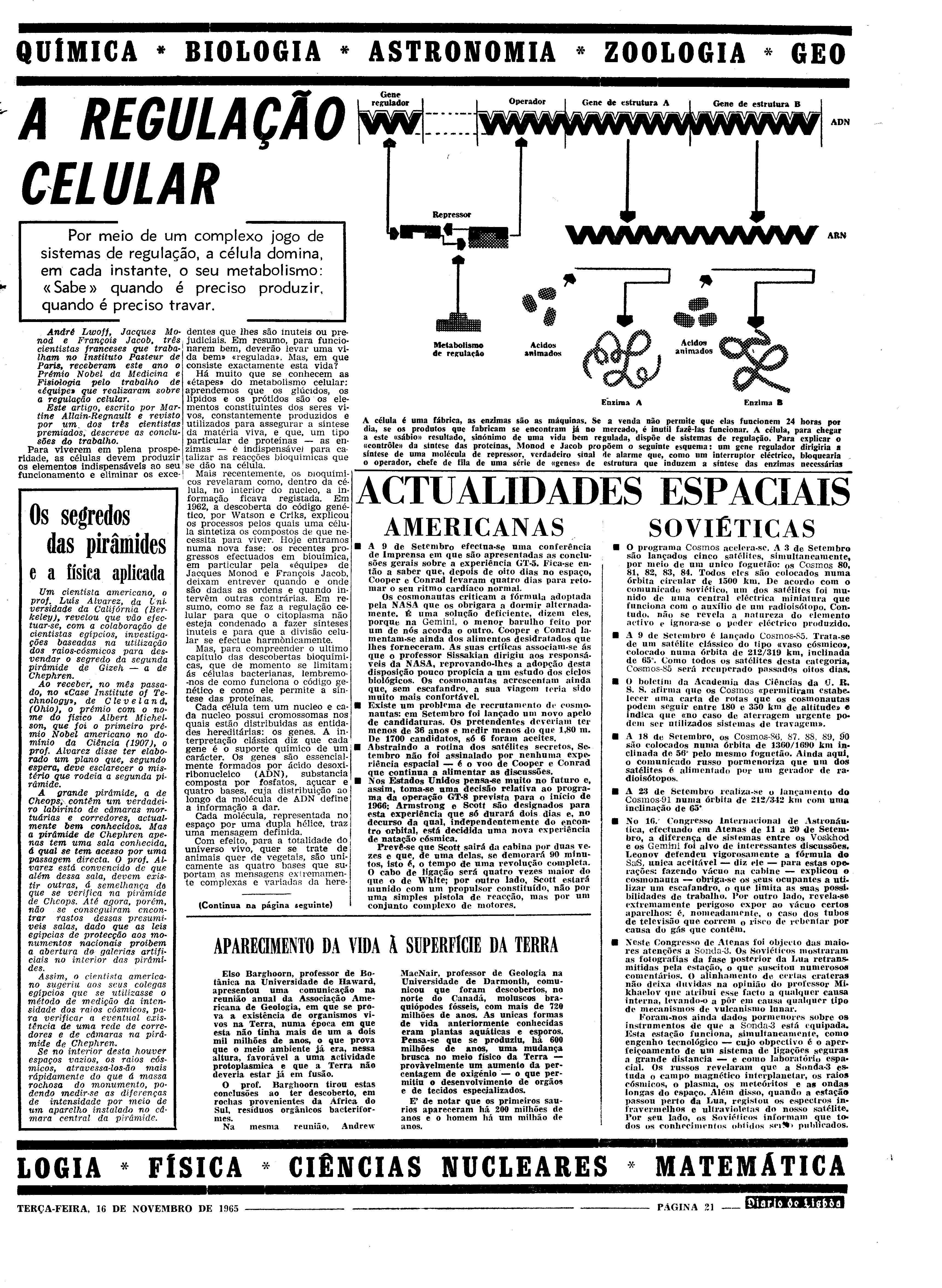 06564.102.19992- pag.21