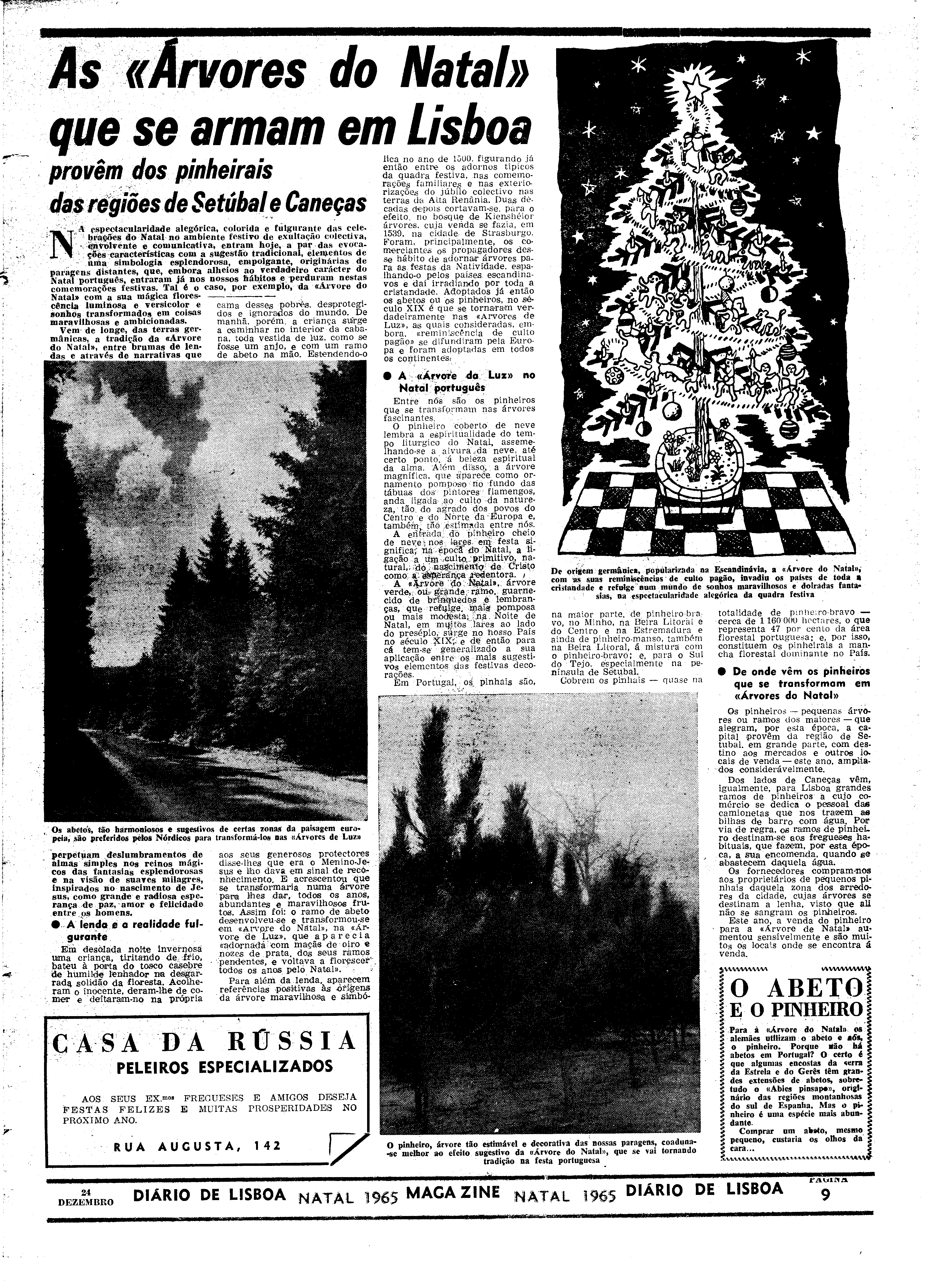 06565.103.20079- pag.41