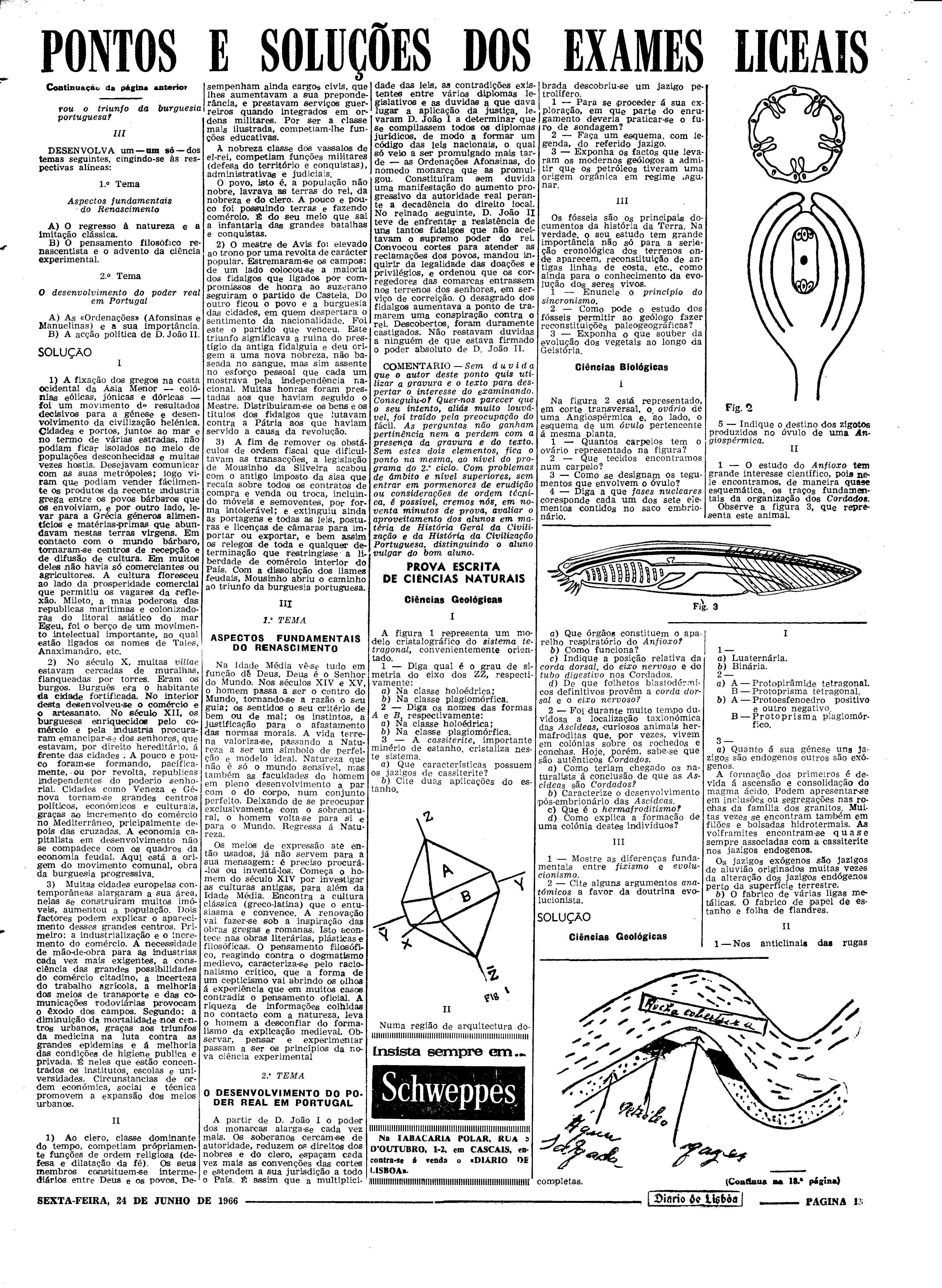 06569.107.20506- pag.13