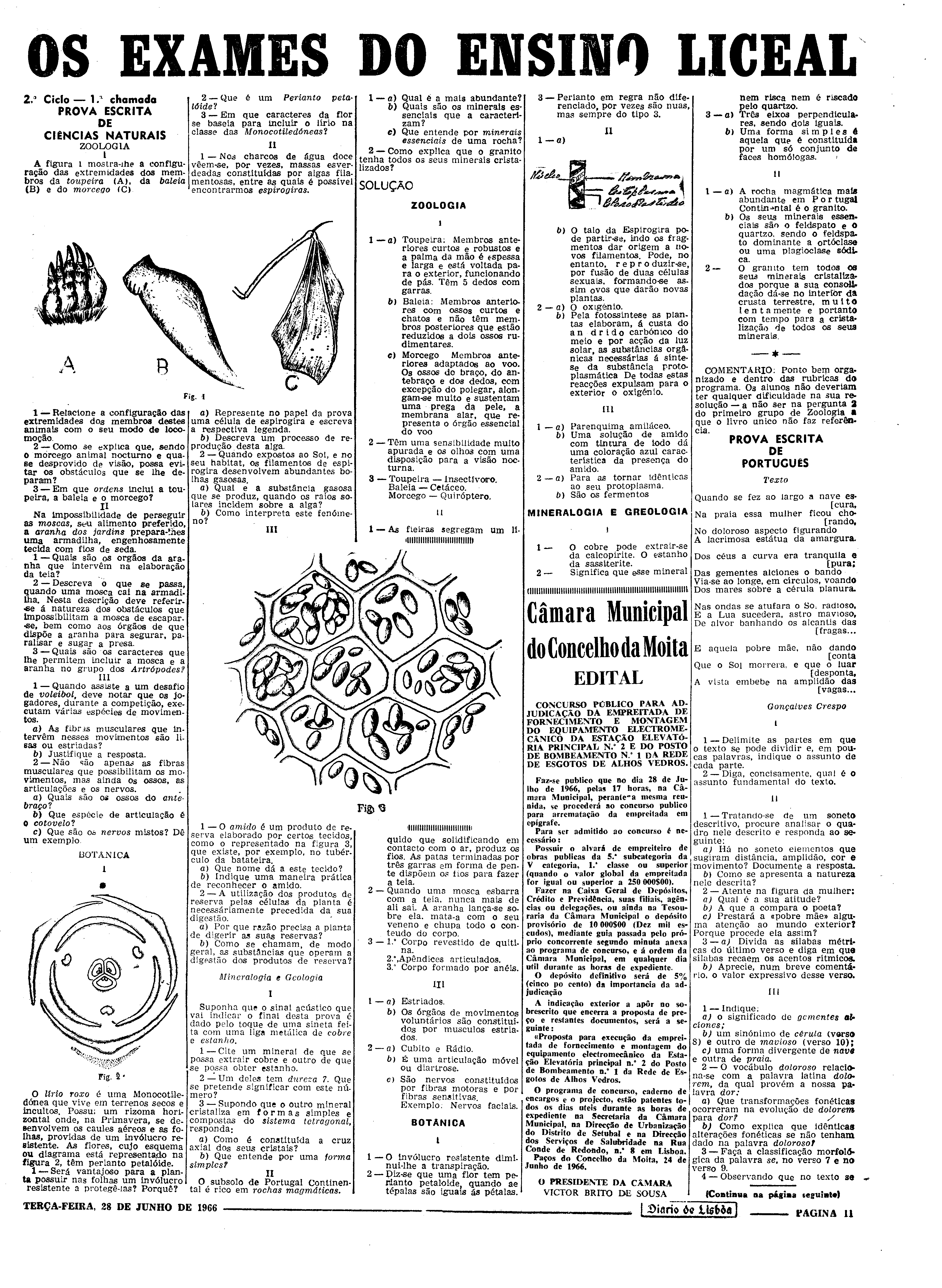 06569.107.20515- pag.11