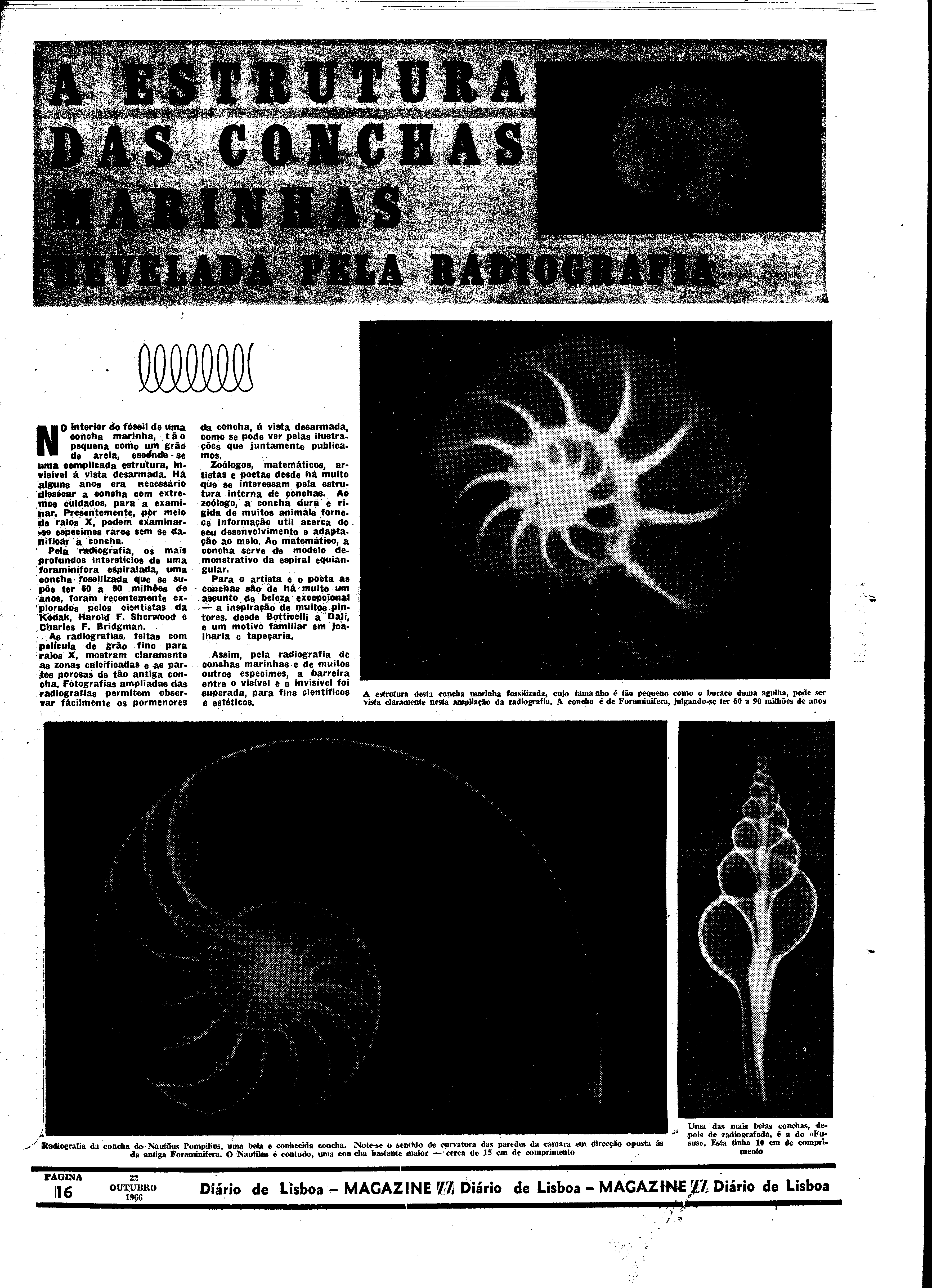 06572.110.20781- pag.36