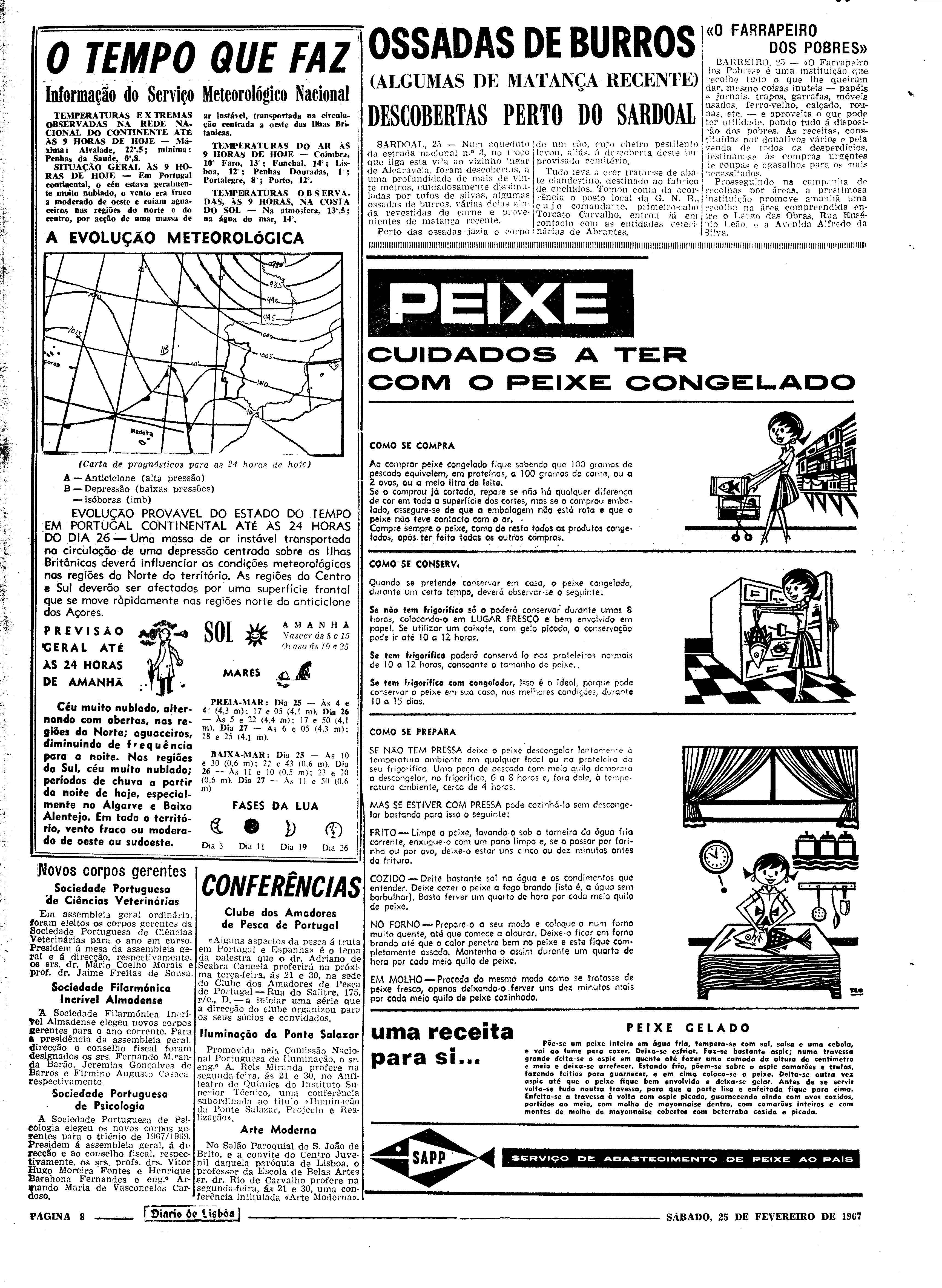 06575.113.21077- pag.8