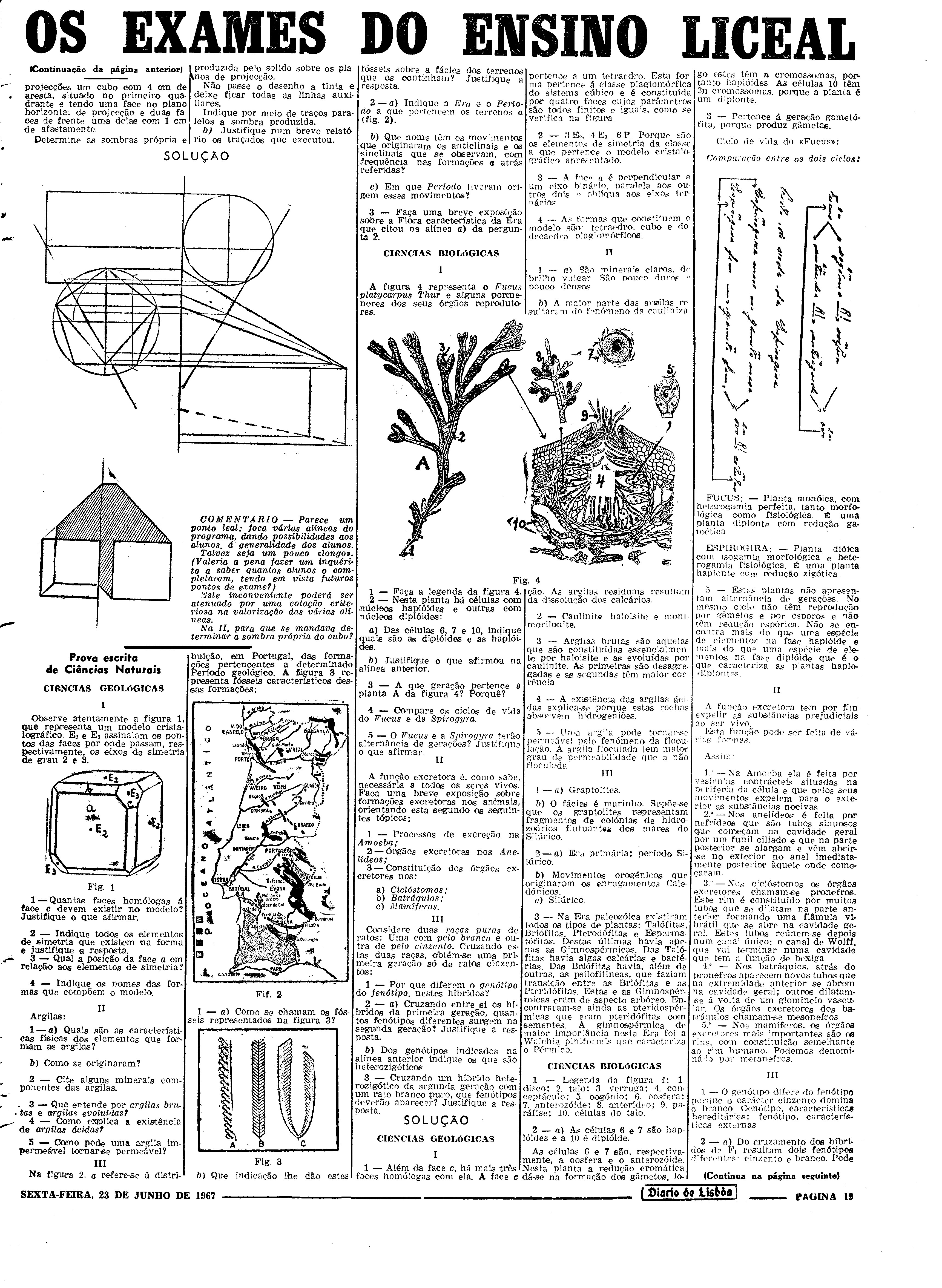 06578.116.21373- pag.19