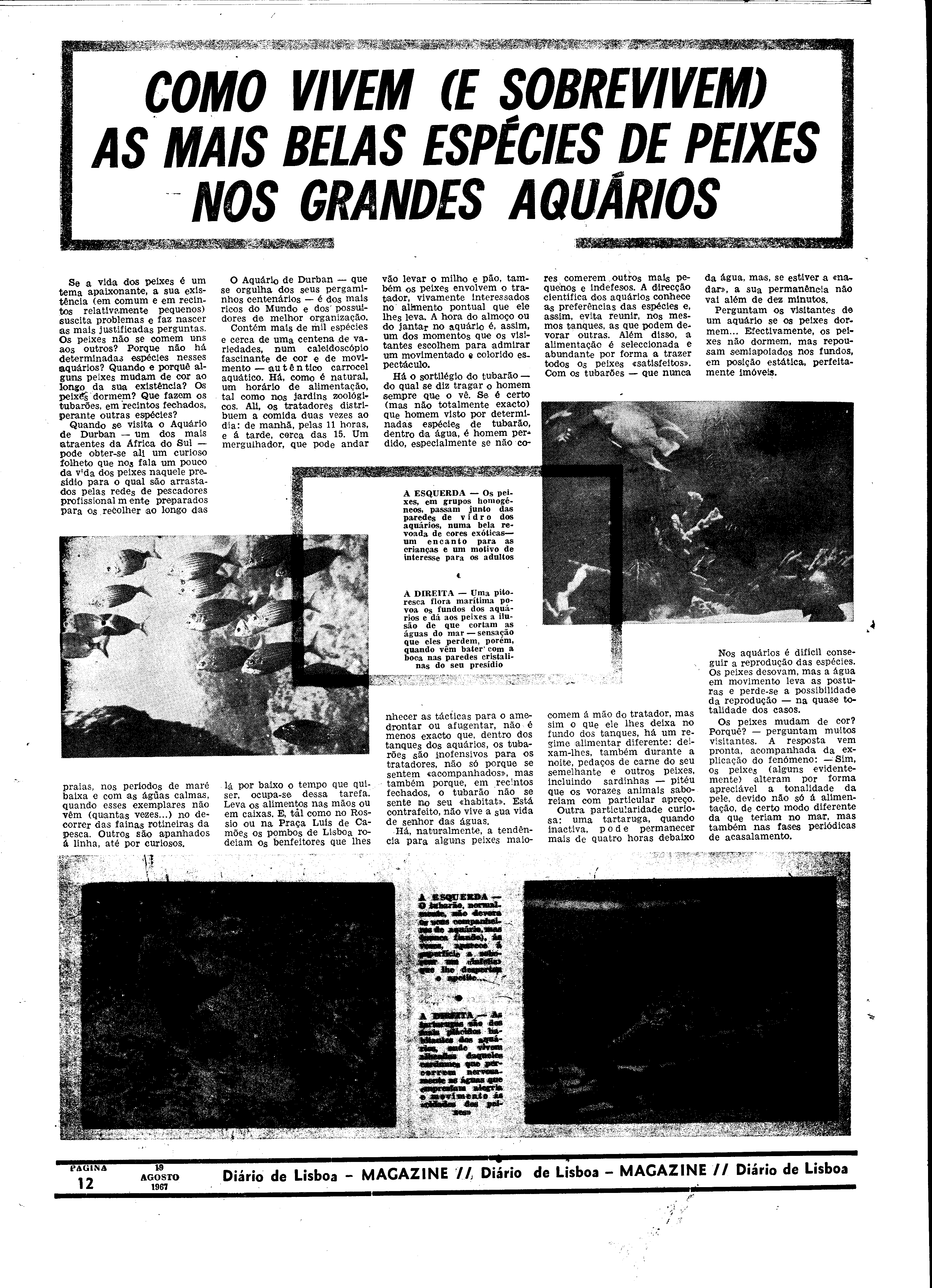 06579.117.21509- pag.32