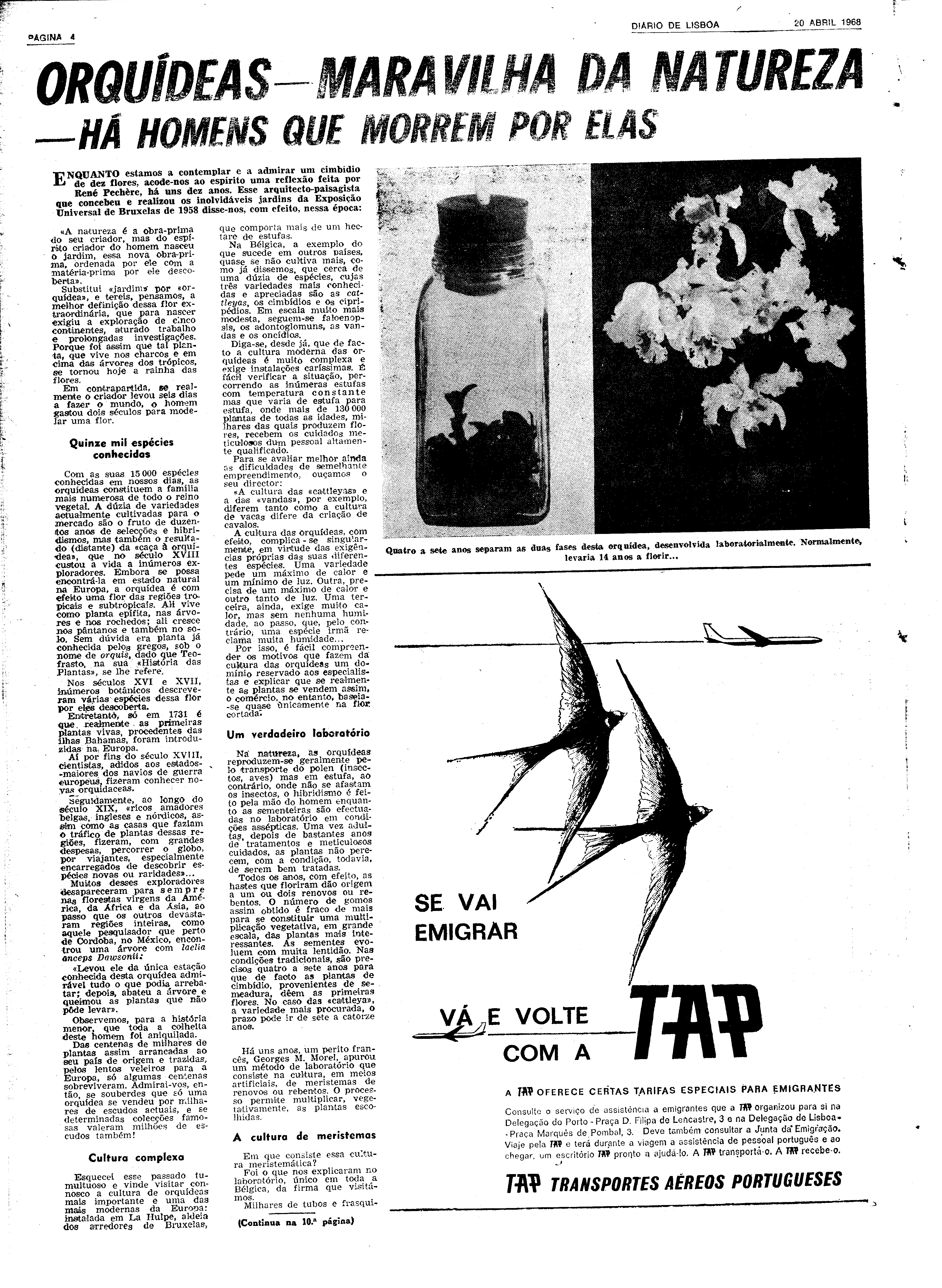 06586.124.22195- pag.28