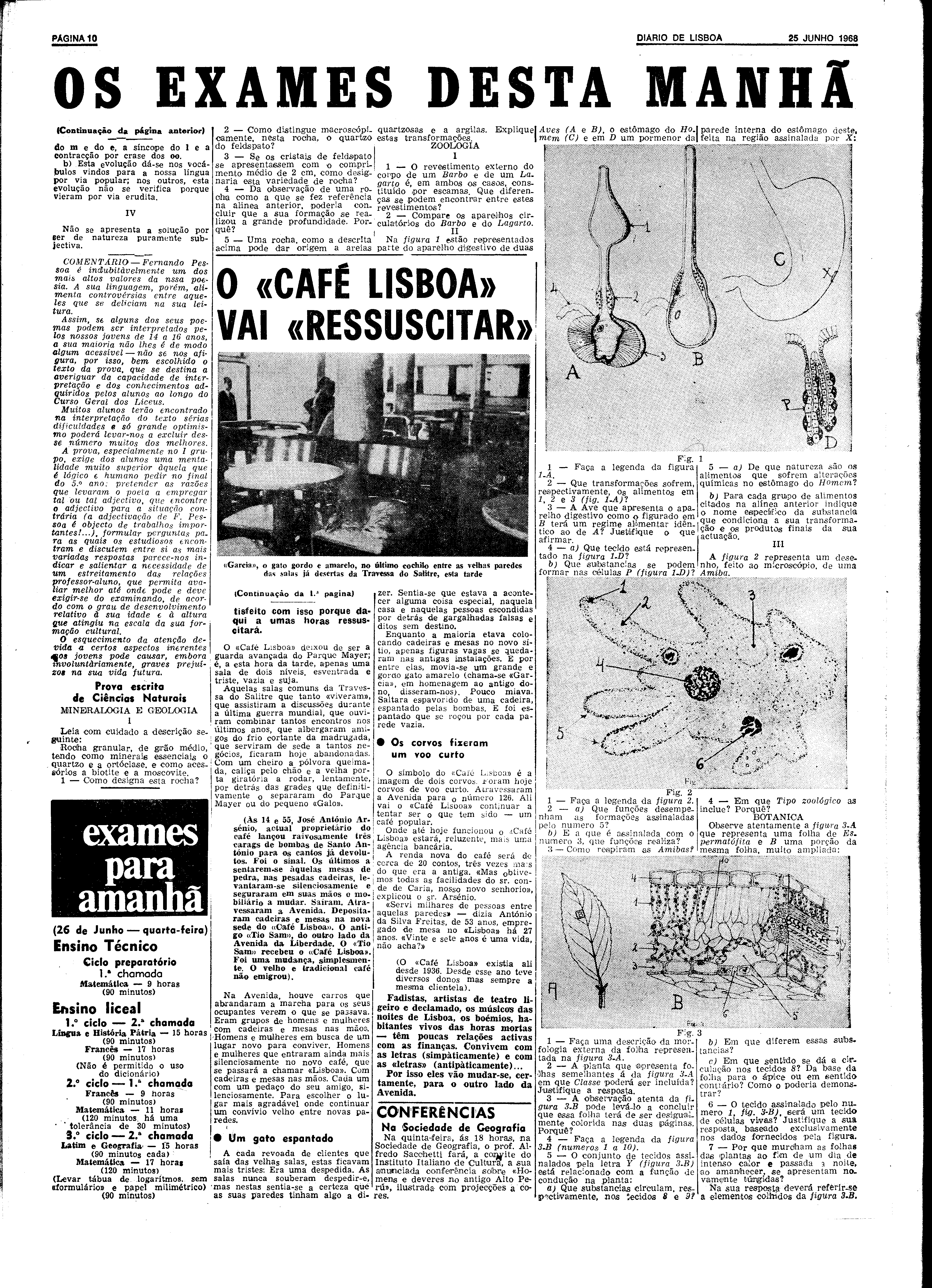 06589.127.22438- pag.10