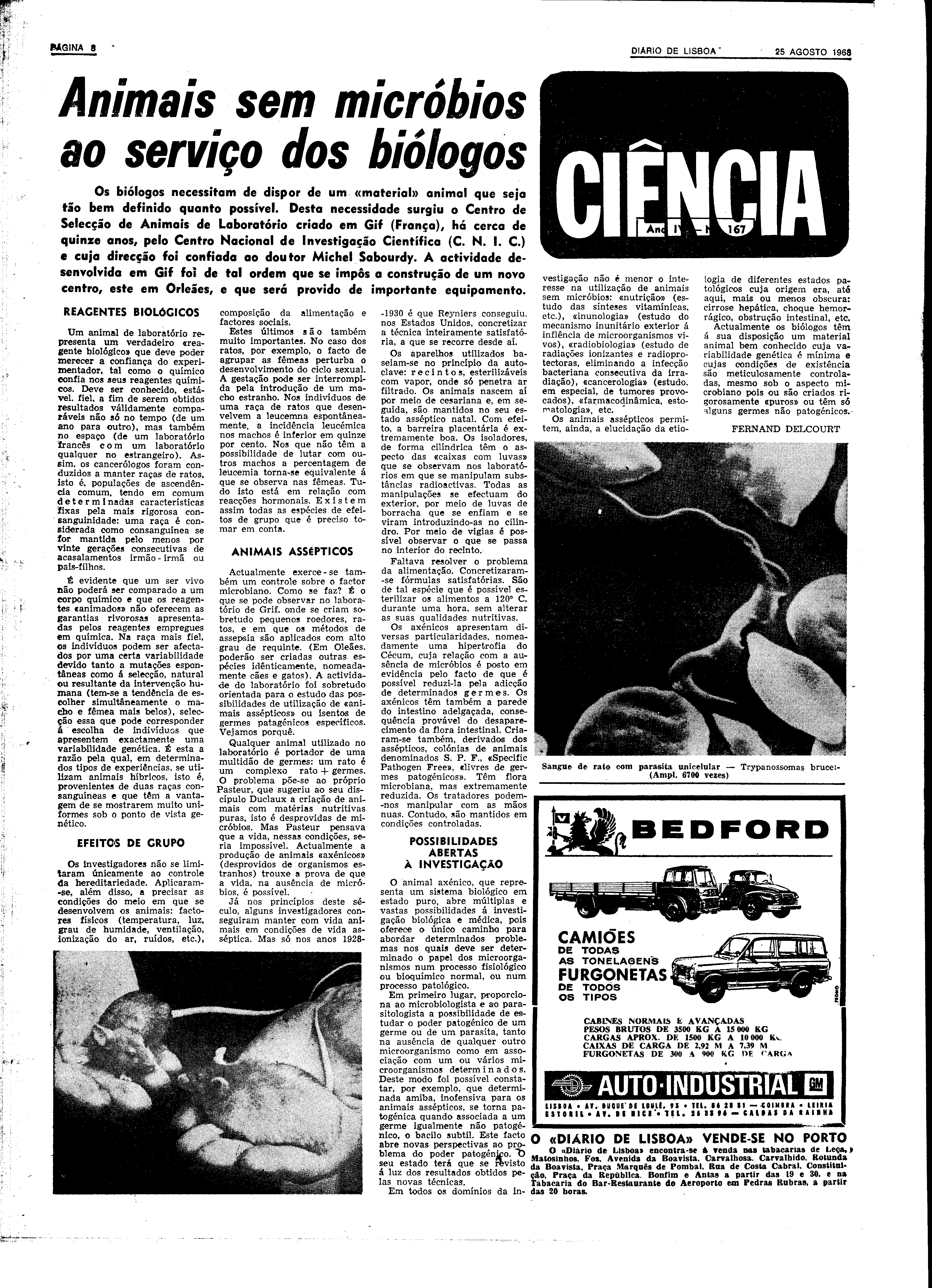 06591.129.22656- pag.8