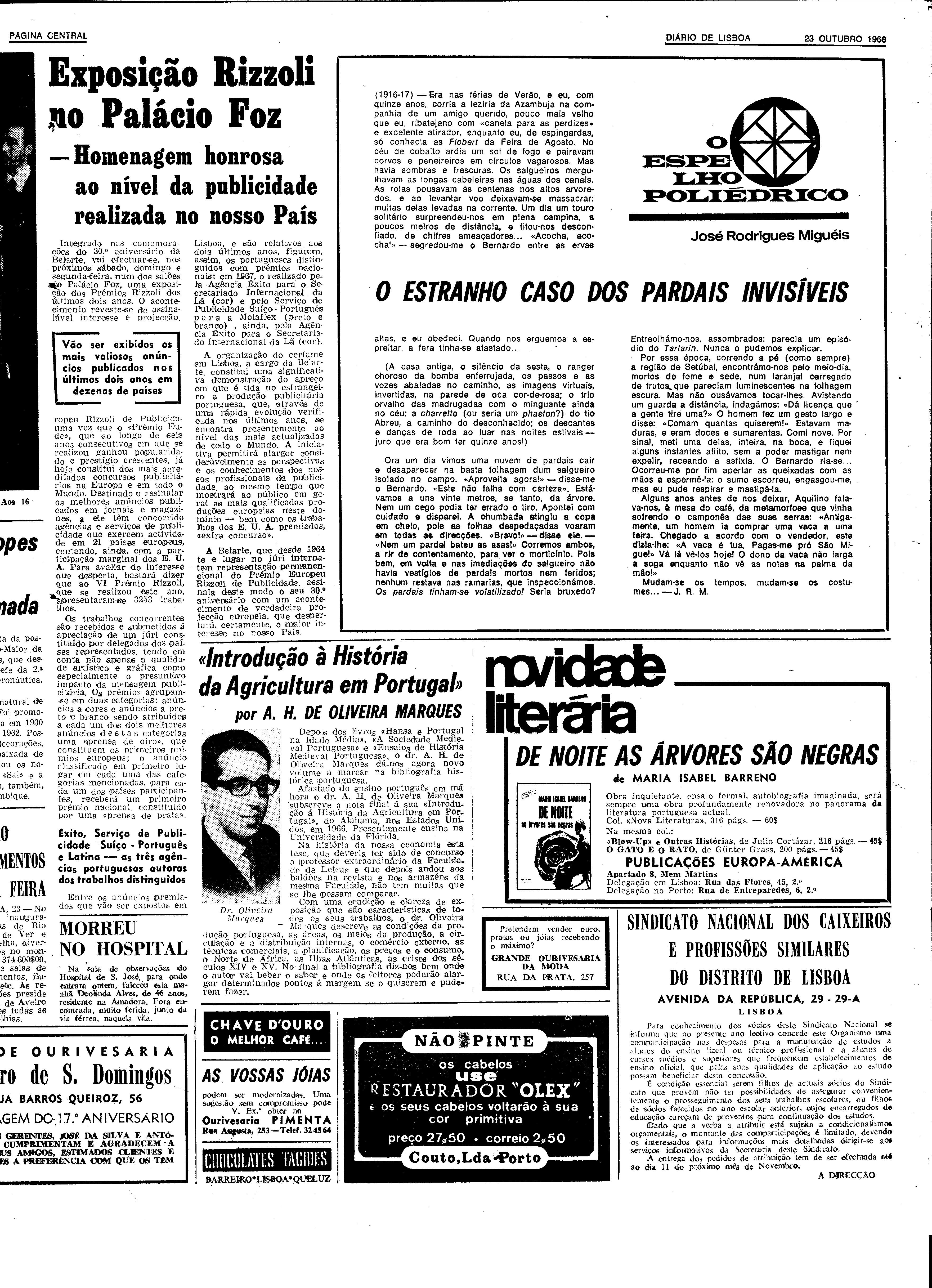 06593.131.22861- pag.13