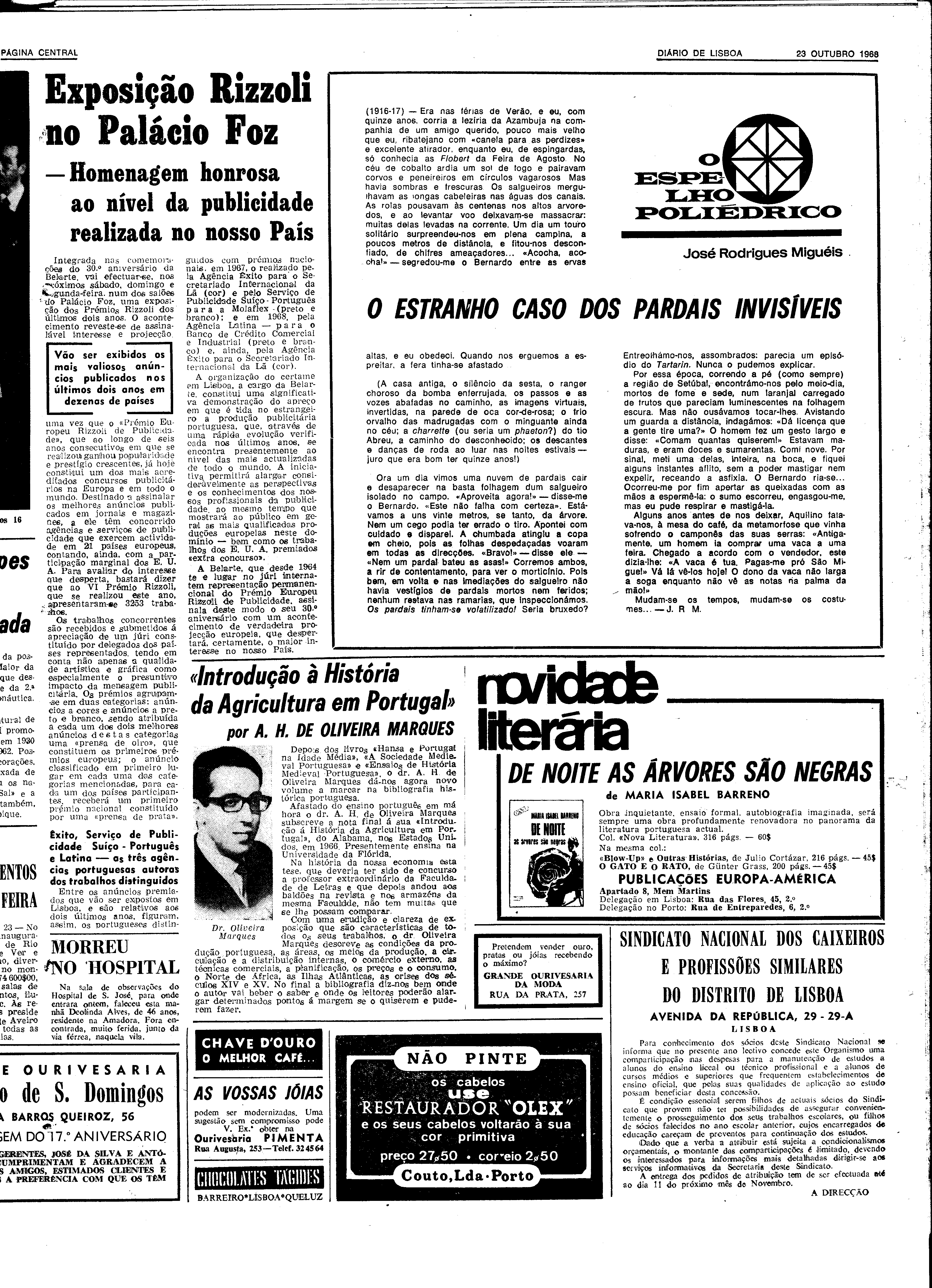 06593.131.22862- pag.13