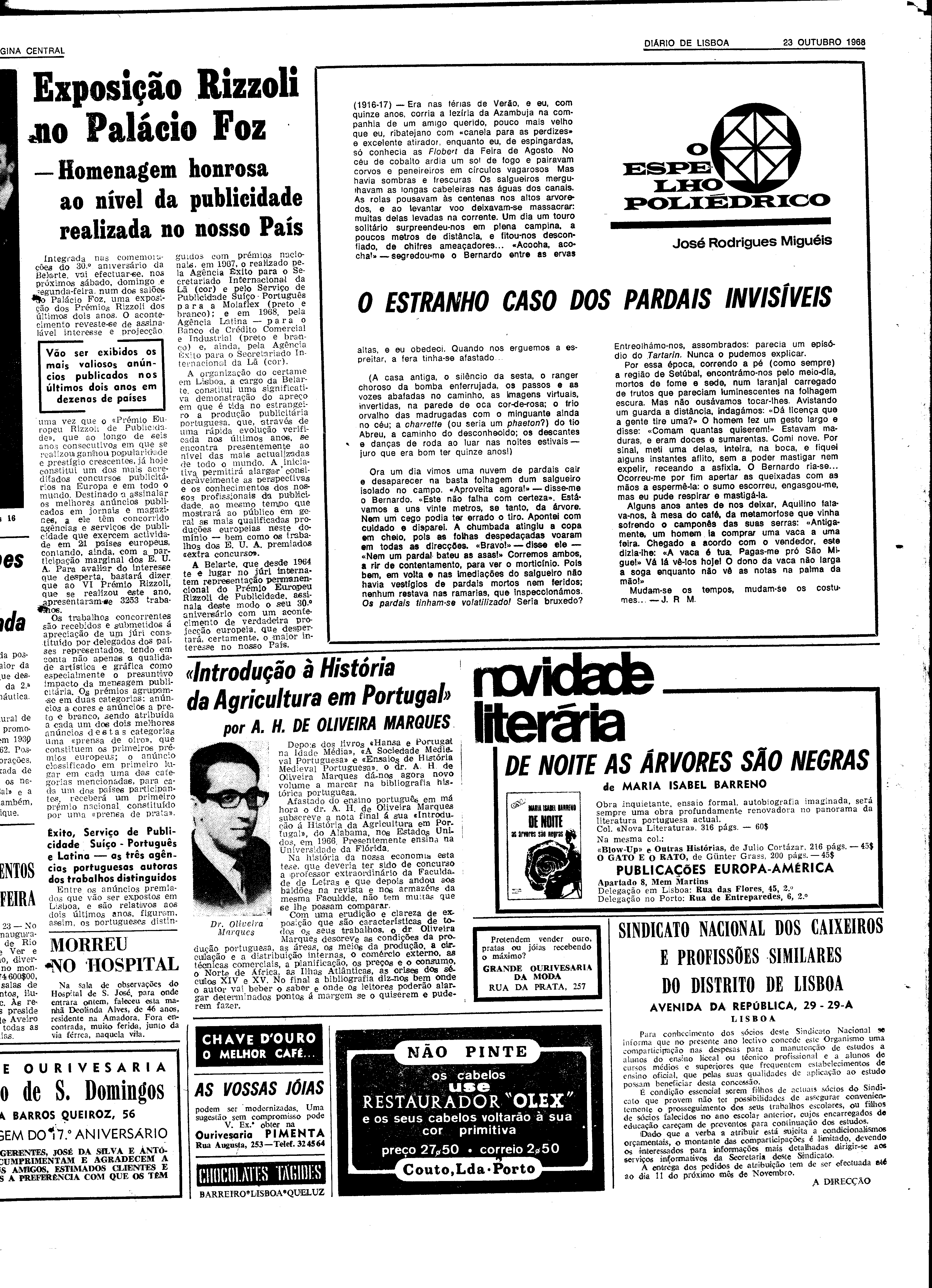 06593.131.22863- pag.13