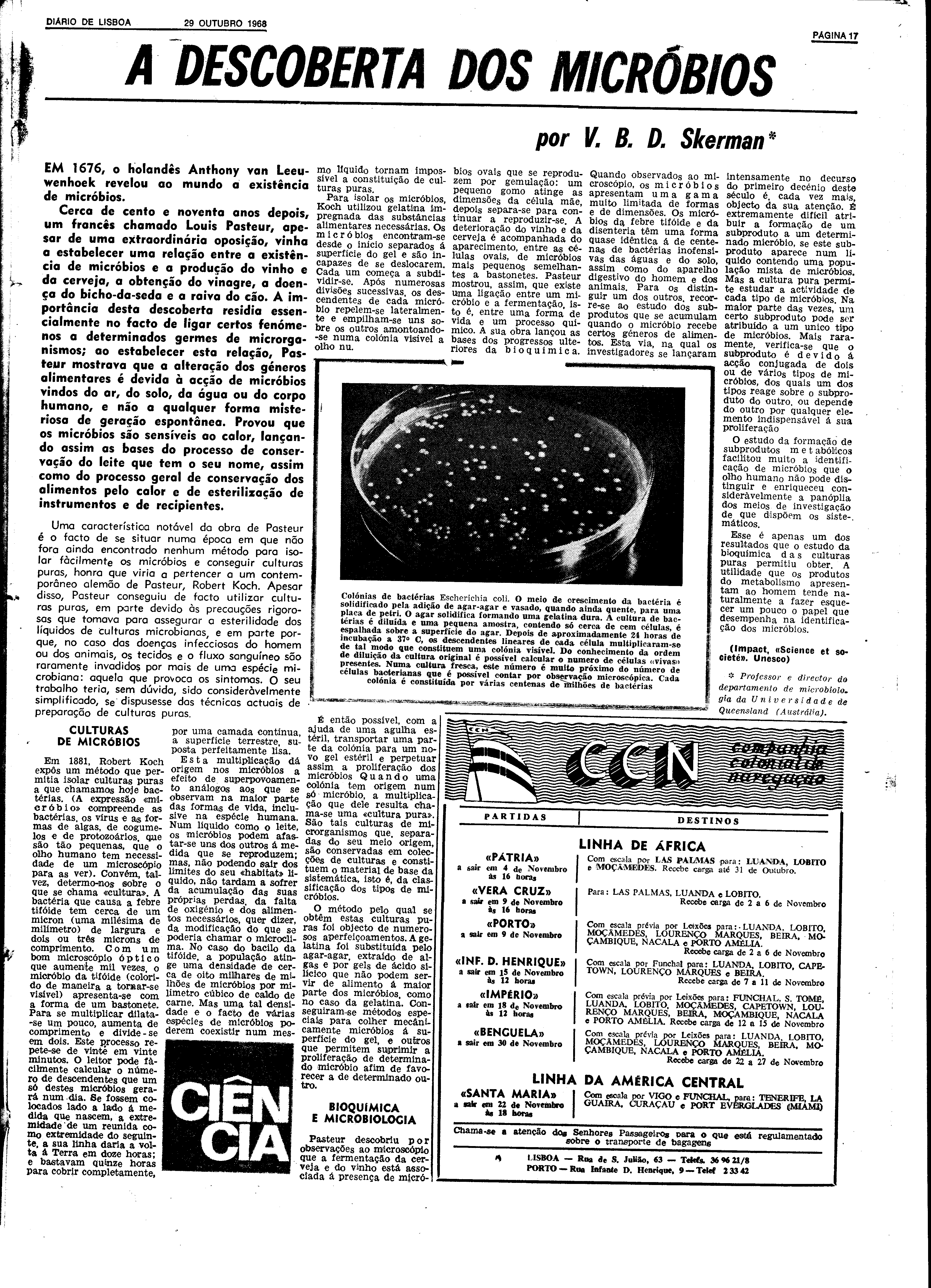06593.131.22883- pag.17