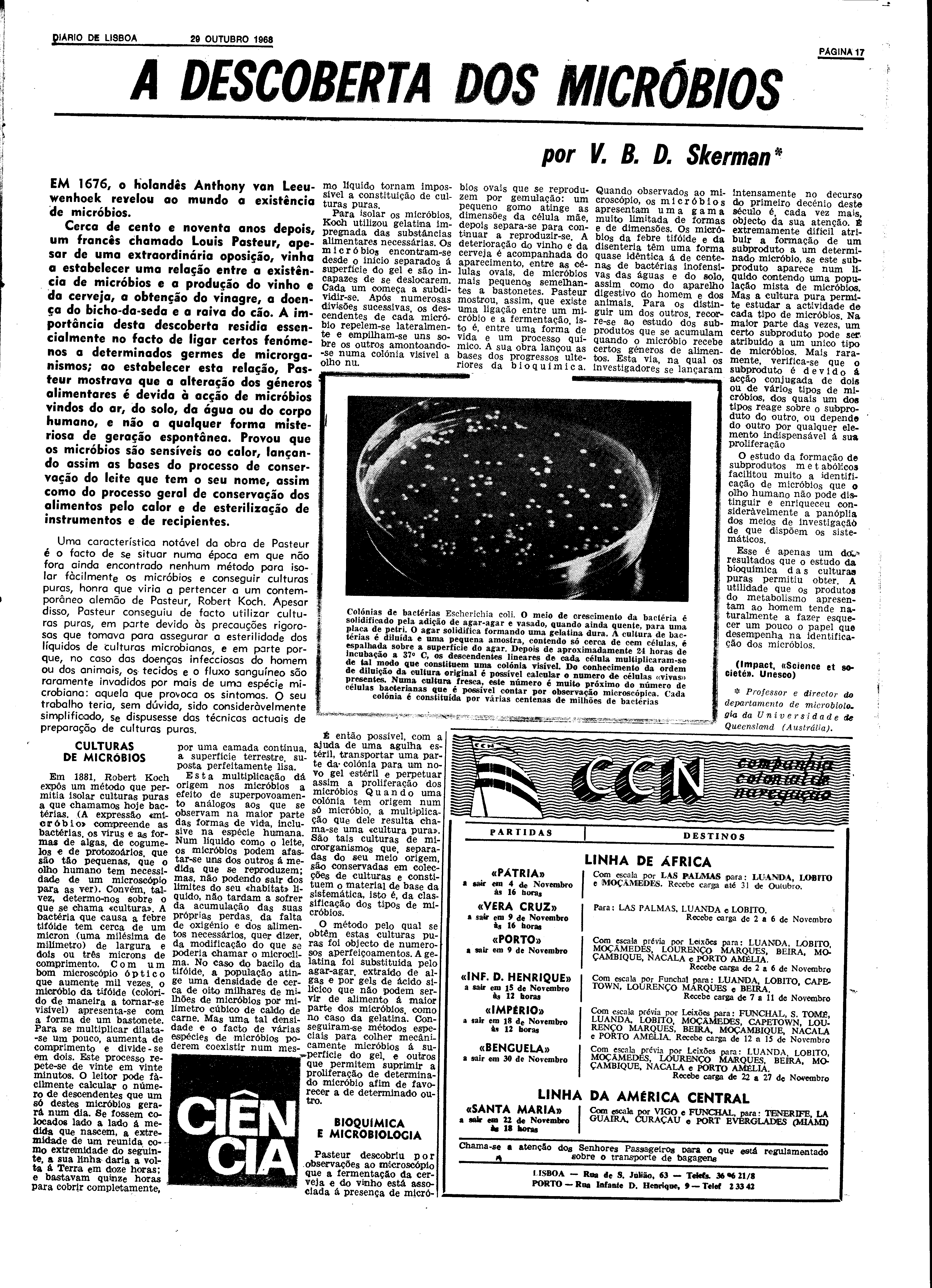 06593.131.22884- pag.17