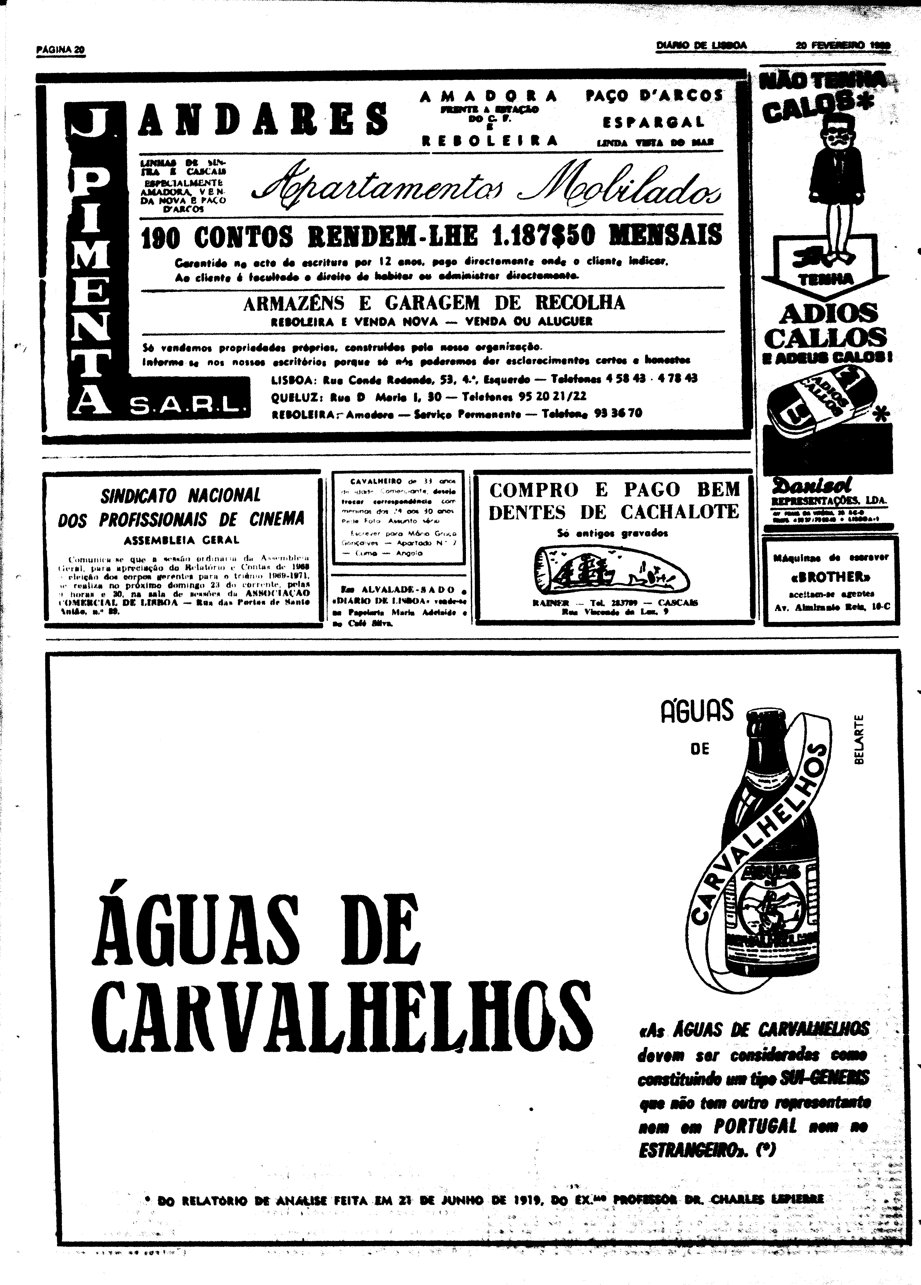06597.135.23270- pag.19