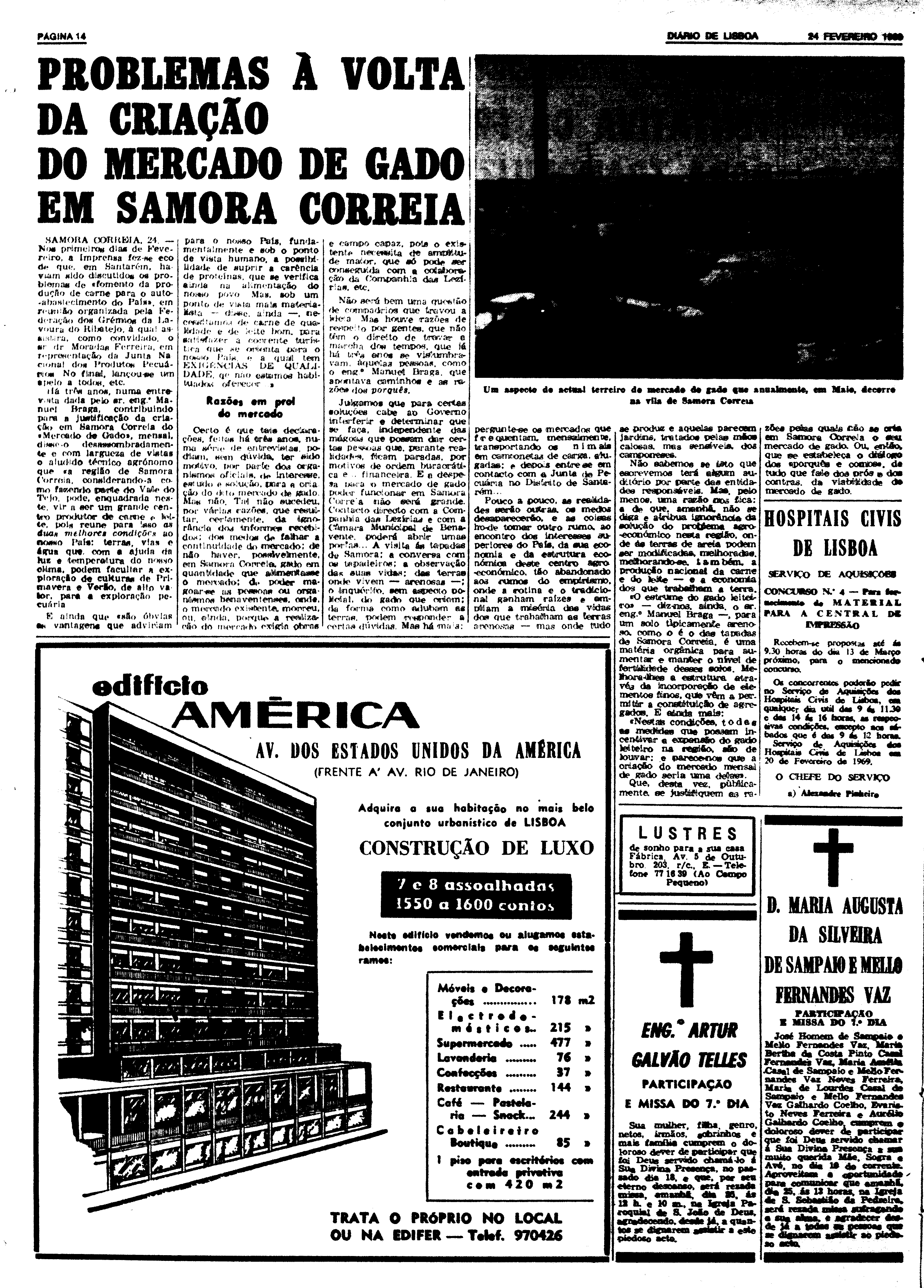 06597.135.23285- pag.13