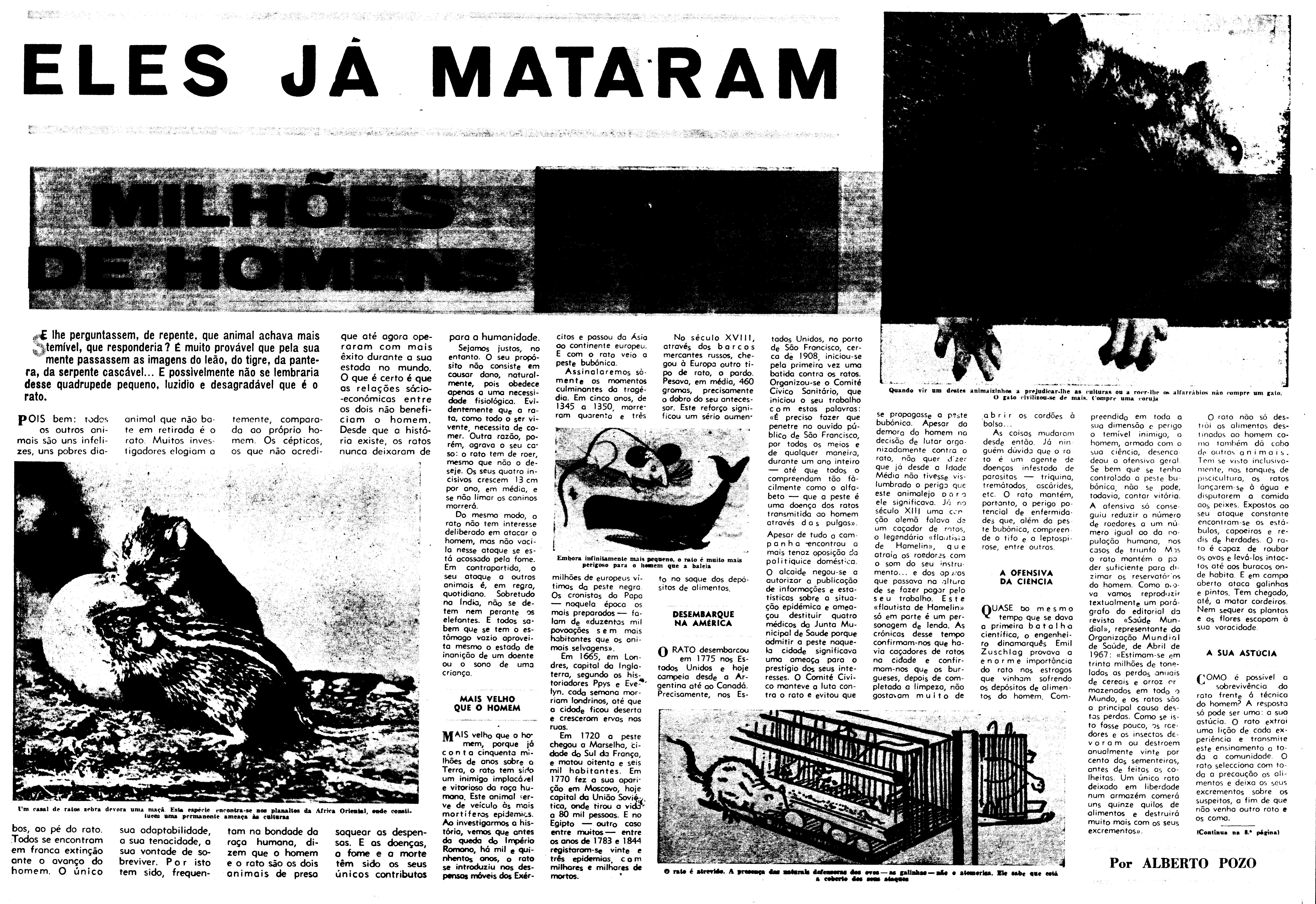 06598.136.23302- pag.25