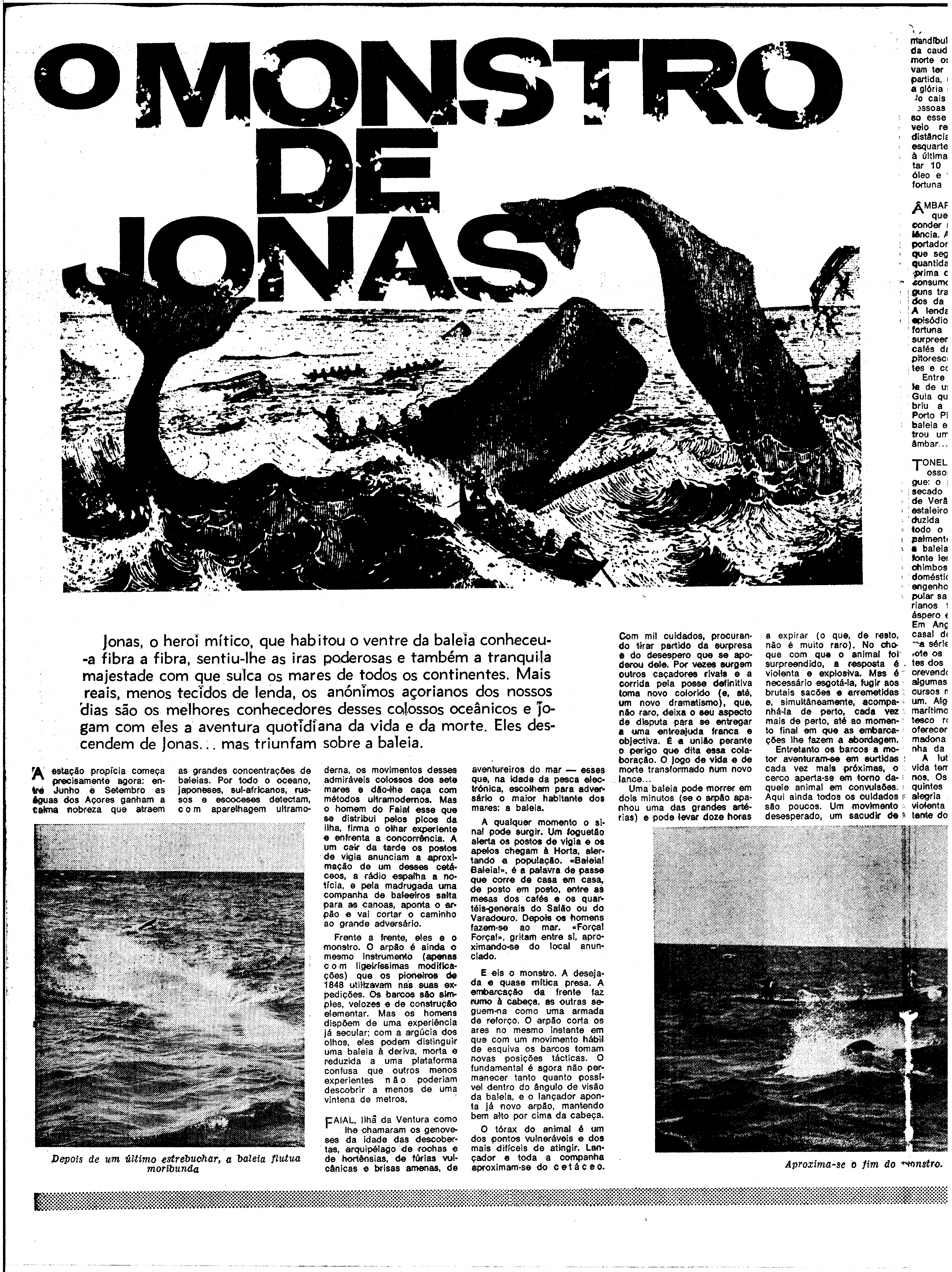 06601.139.23616- pag.32