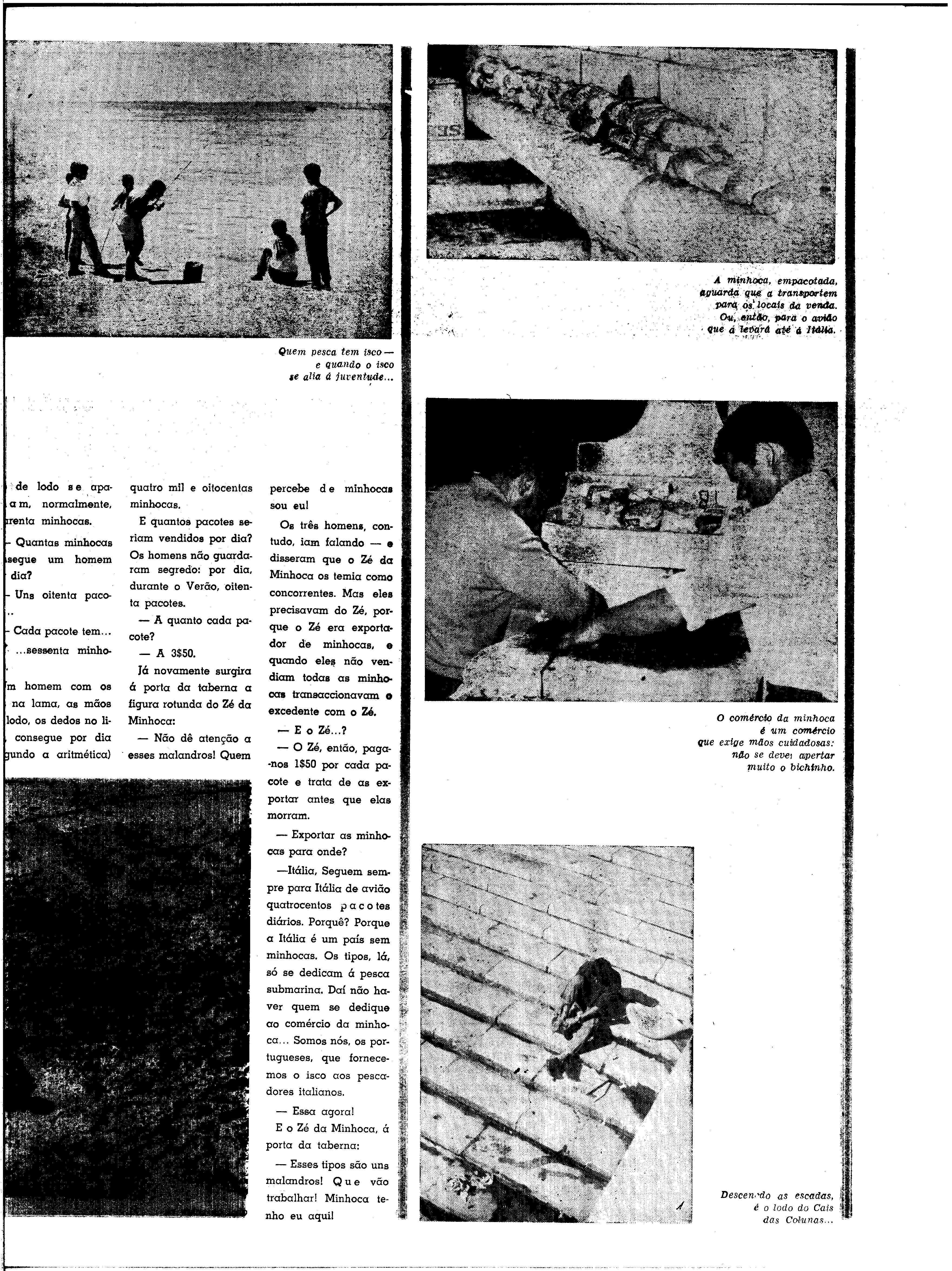 06604.142.23887- pag.31