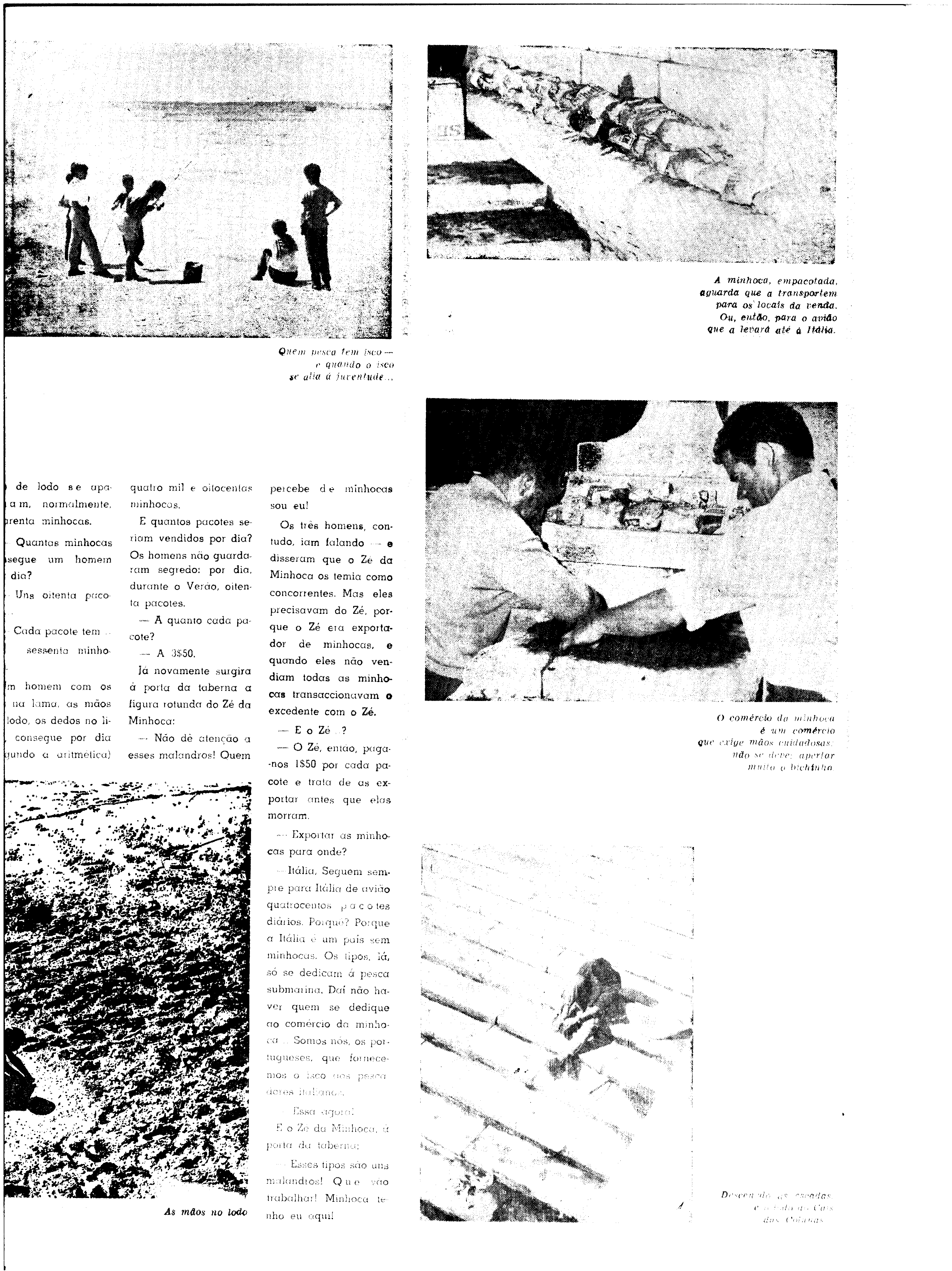 06604.142.23887- pag.32