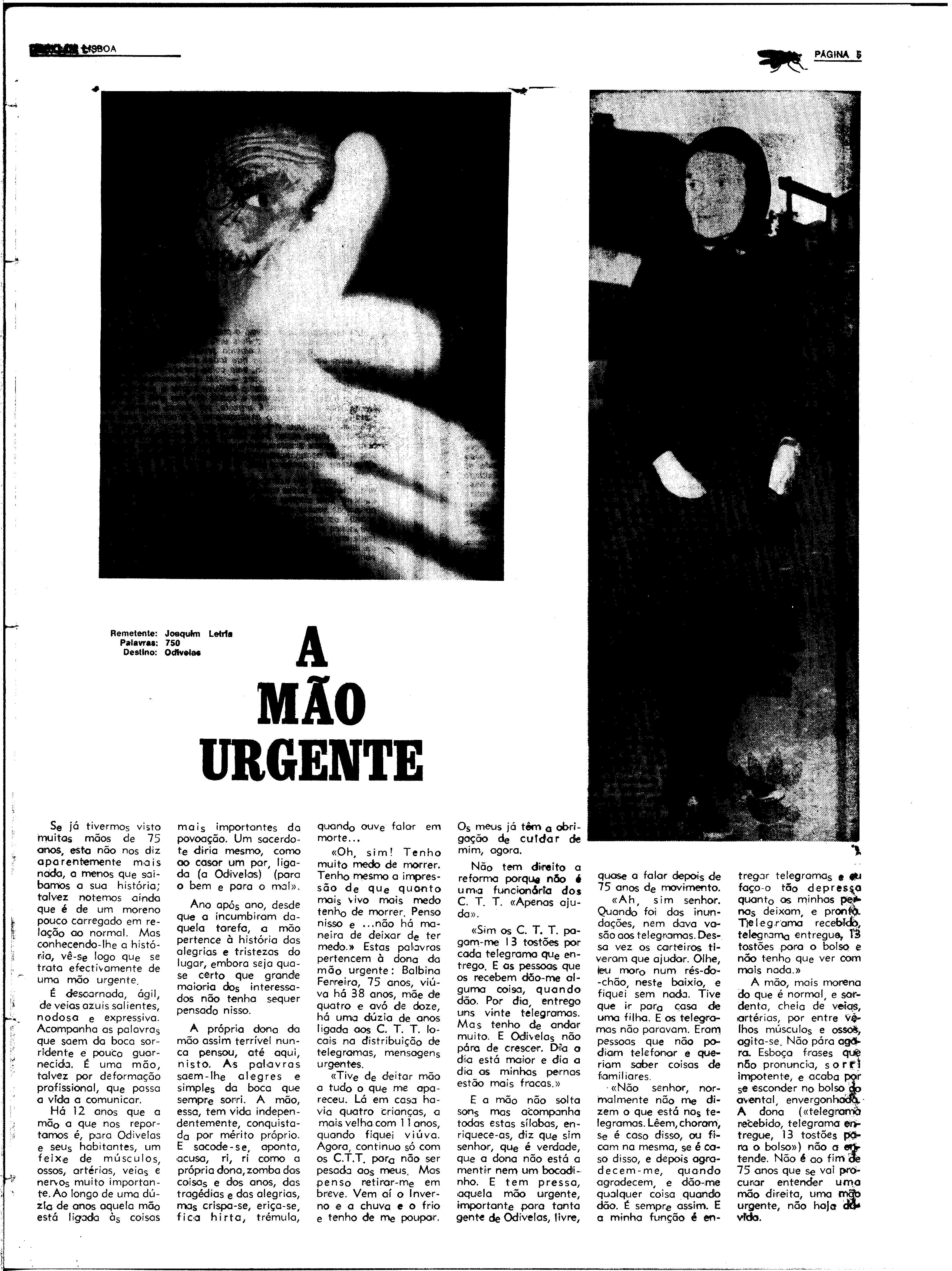 06606.144.24110- pag.37