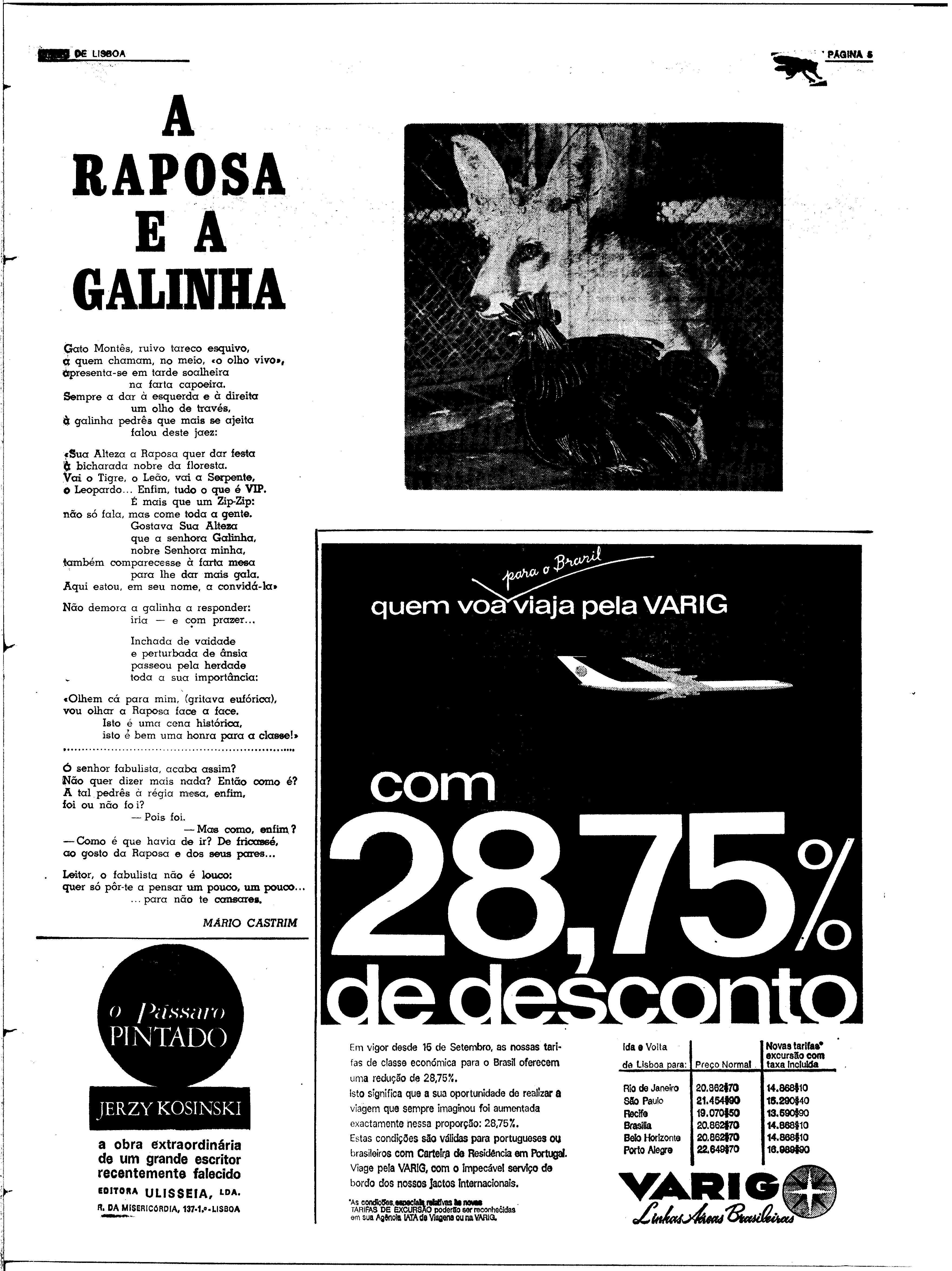 06608.146.24305- pag.33