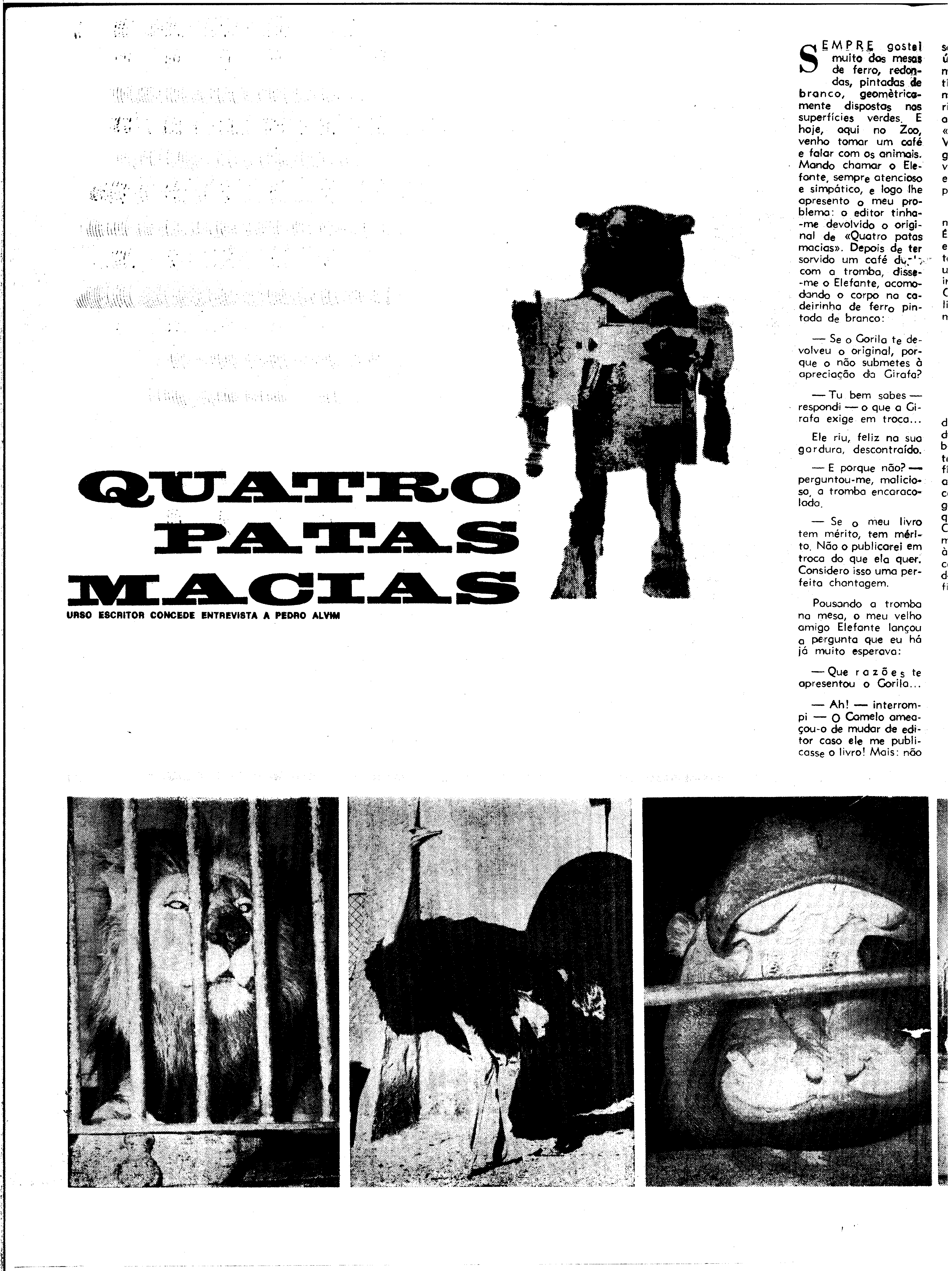 06608.146.24305- pag.36