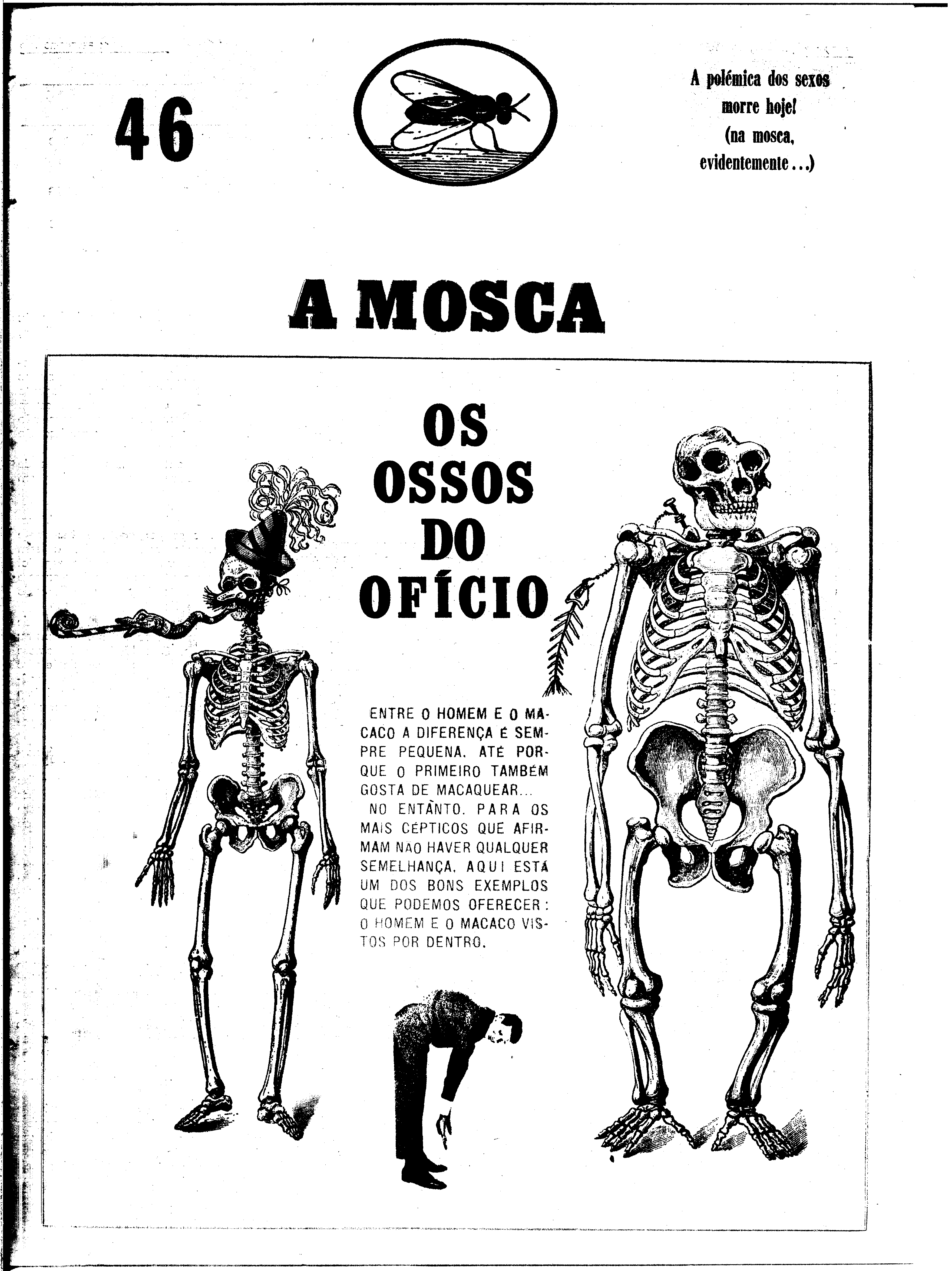 06611.149.24546- pag.31