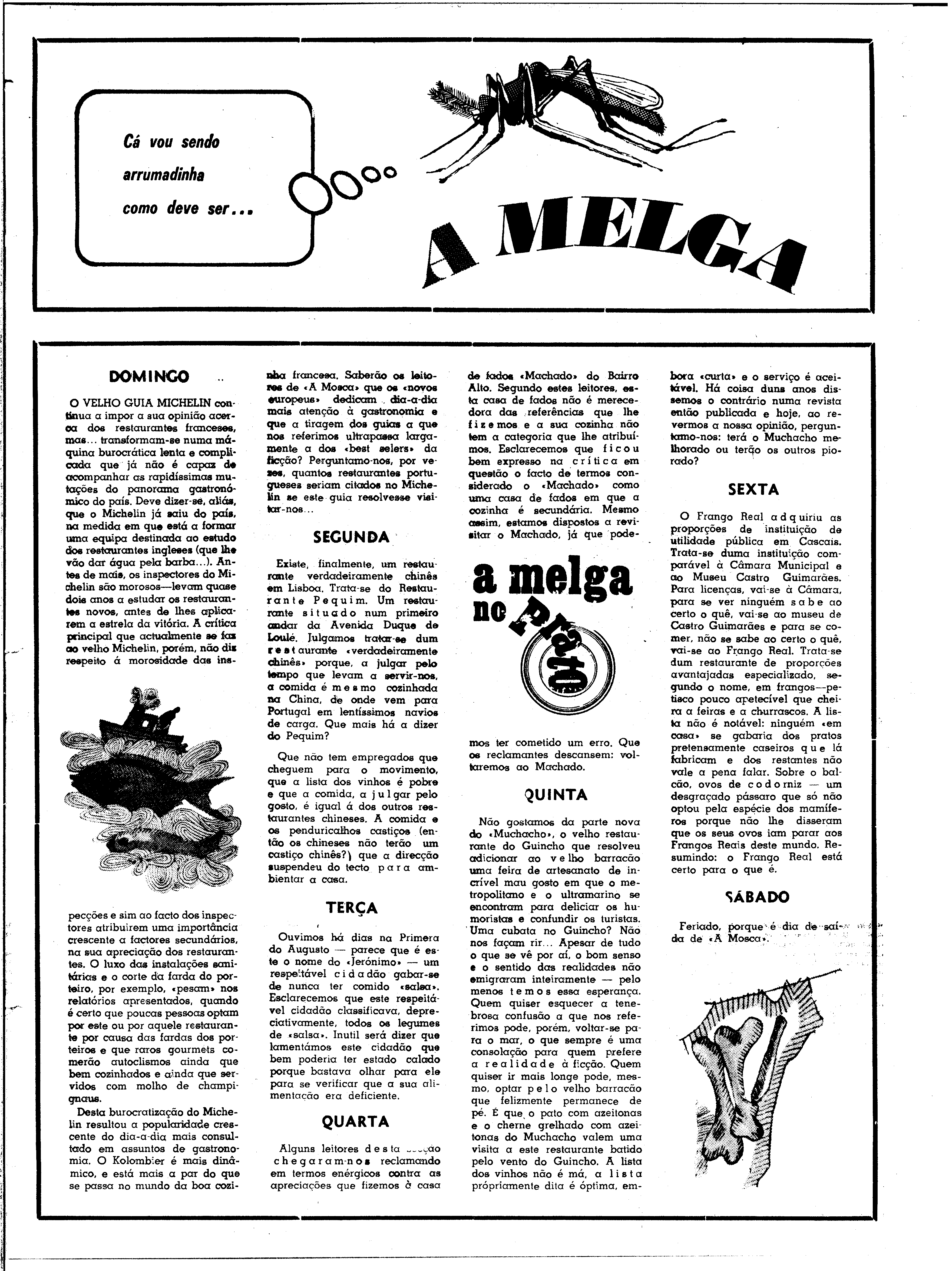 06613.151.24742- pag.41