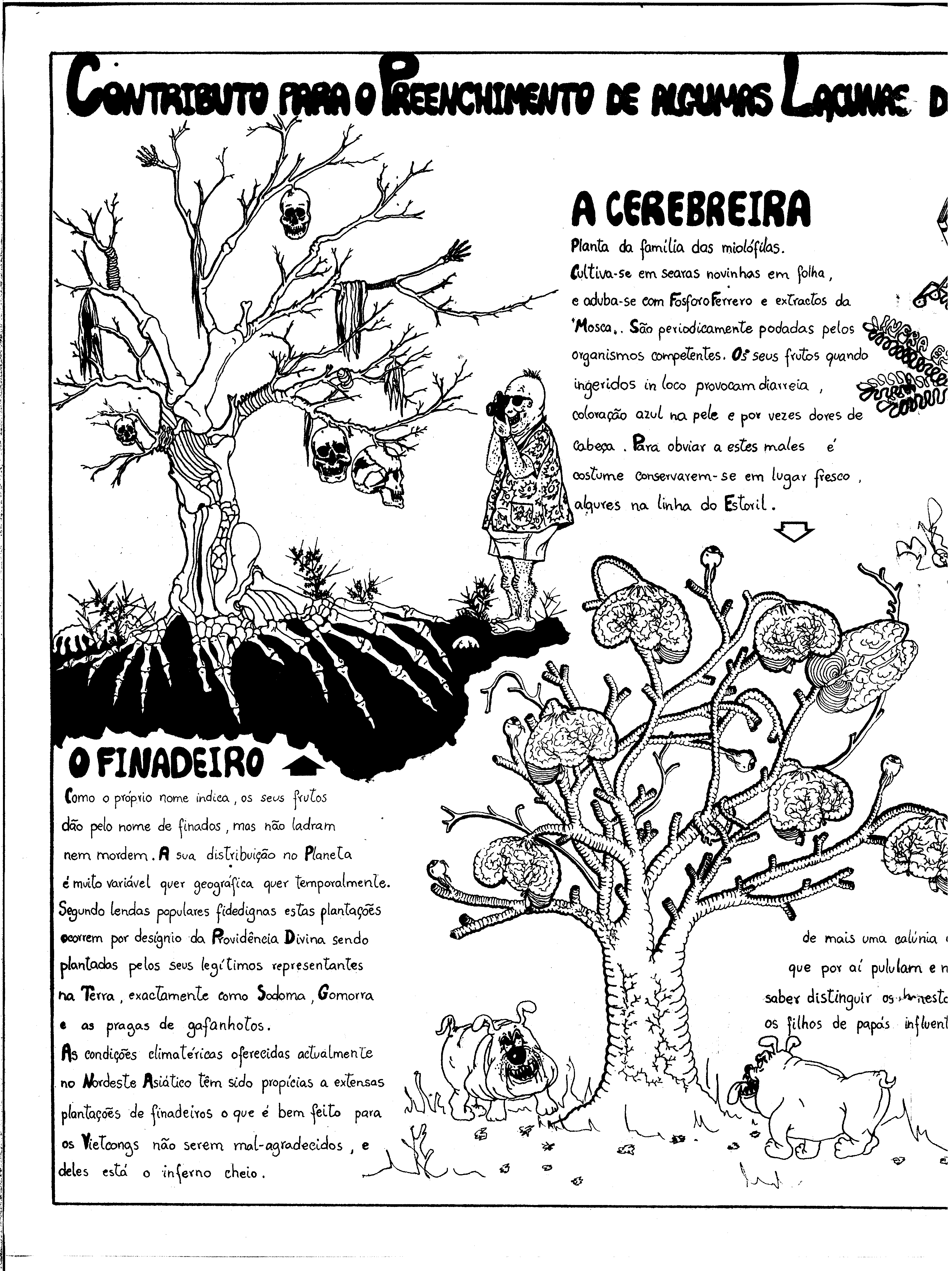 06811.161.25672- pag.30