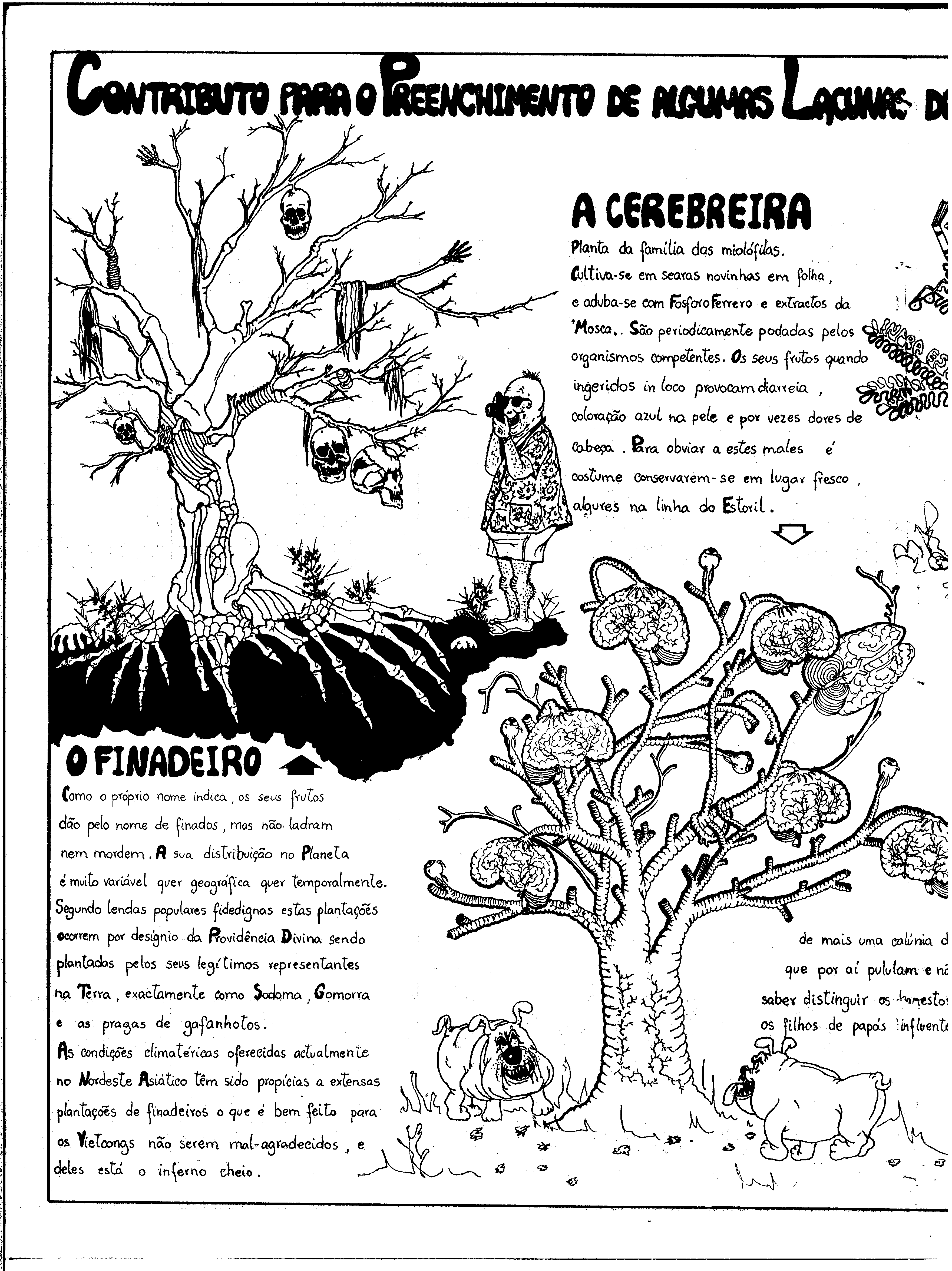 06811.161.25673- pag.30
