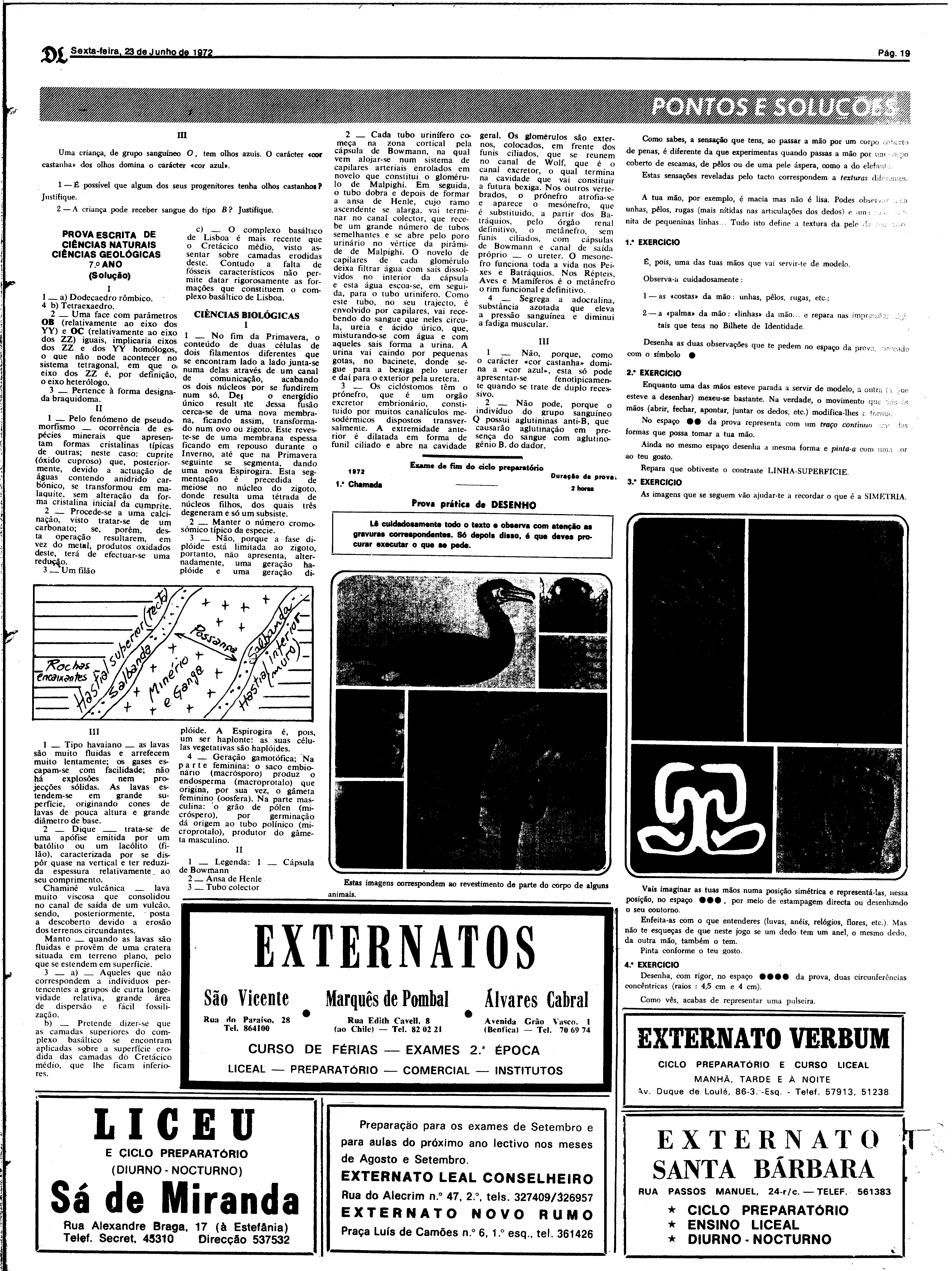 06814.164.26034- pag.19