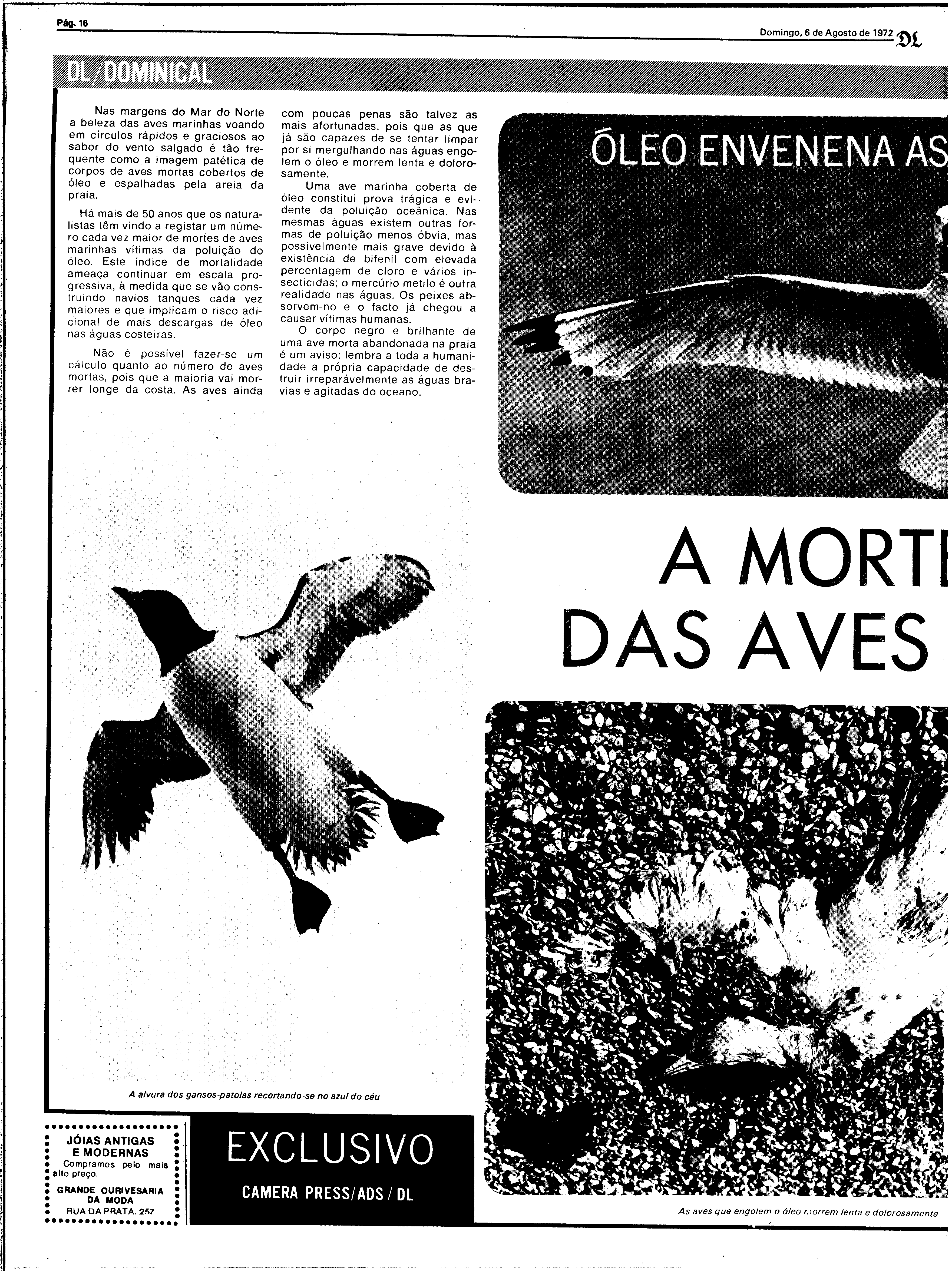 06814.164.26078- pag.16