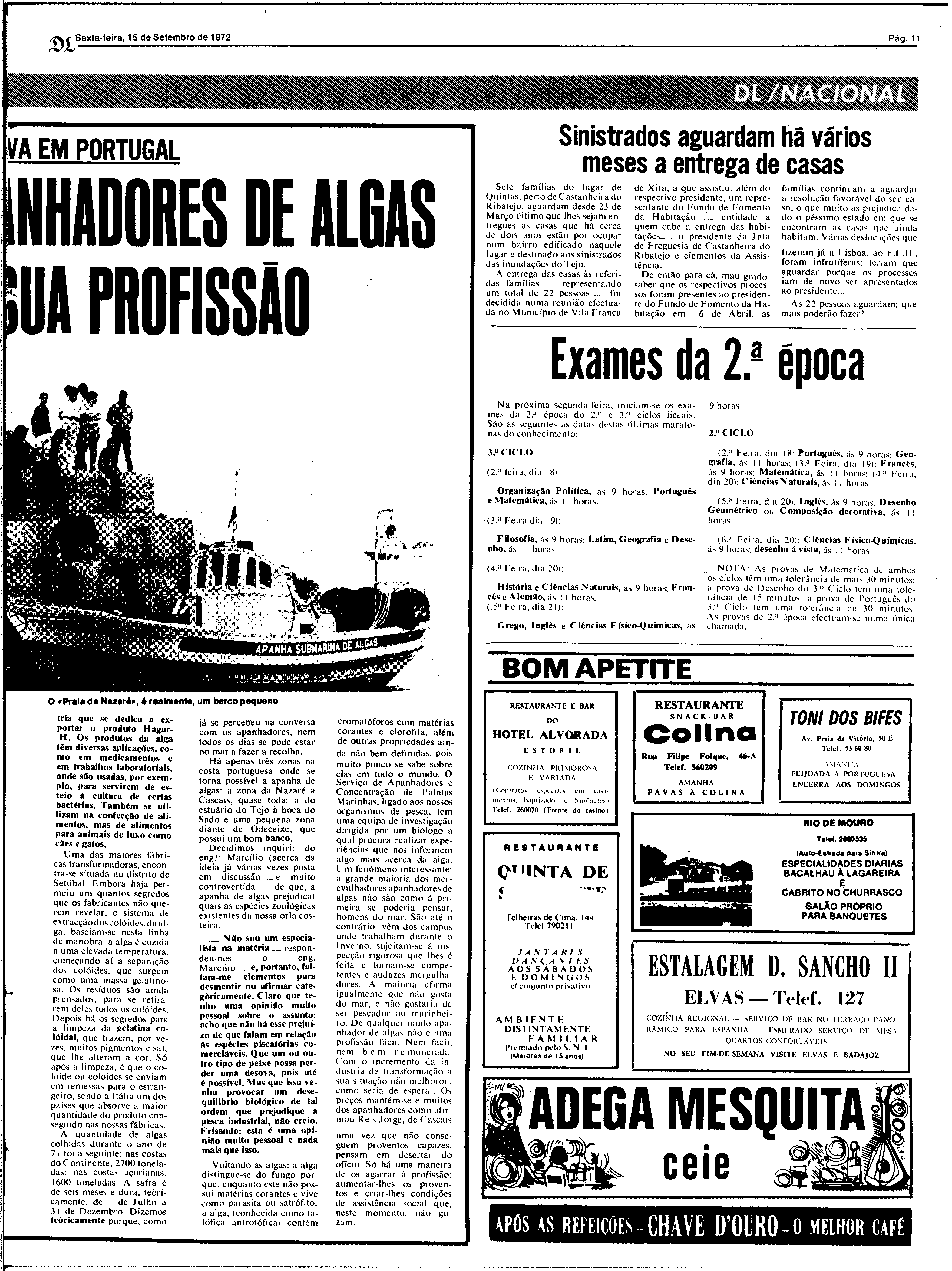 06815.165.26119- pag.11