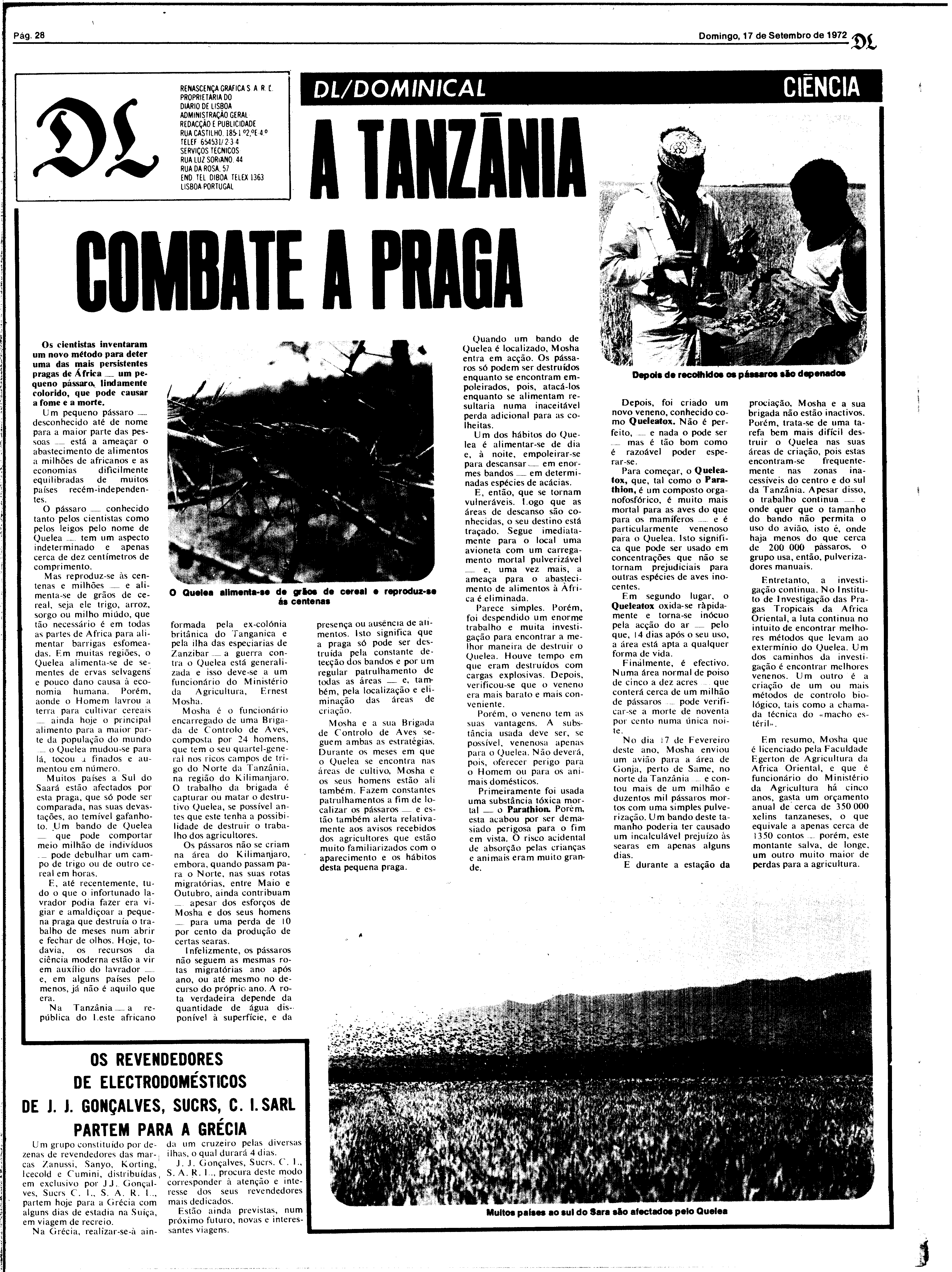 06815.165.26123- pag.28