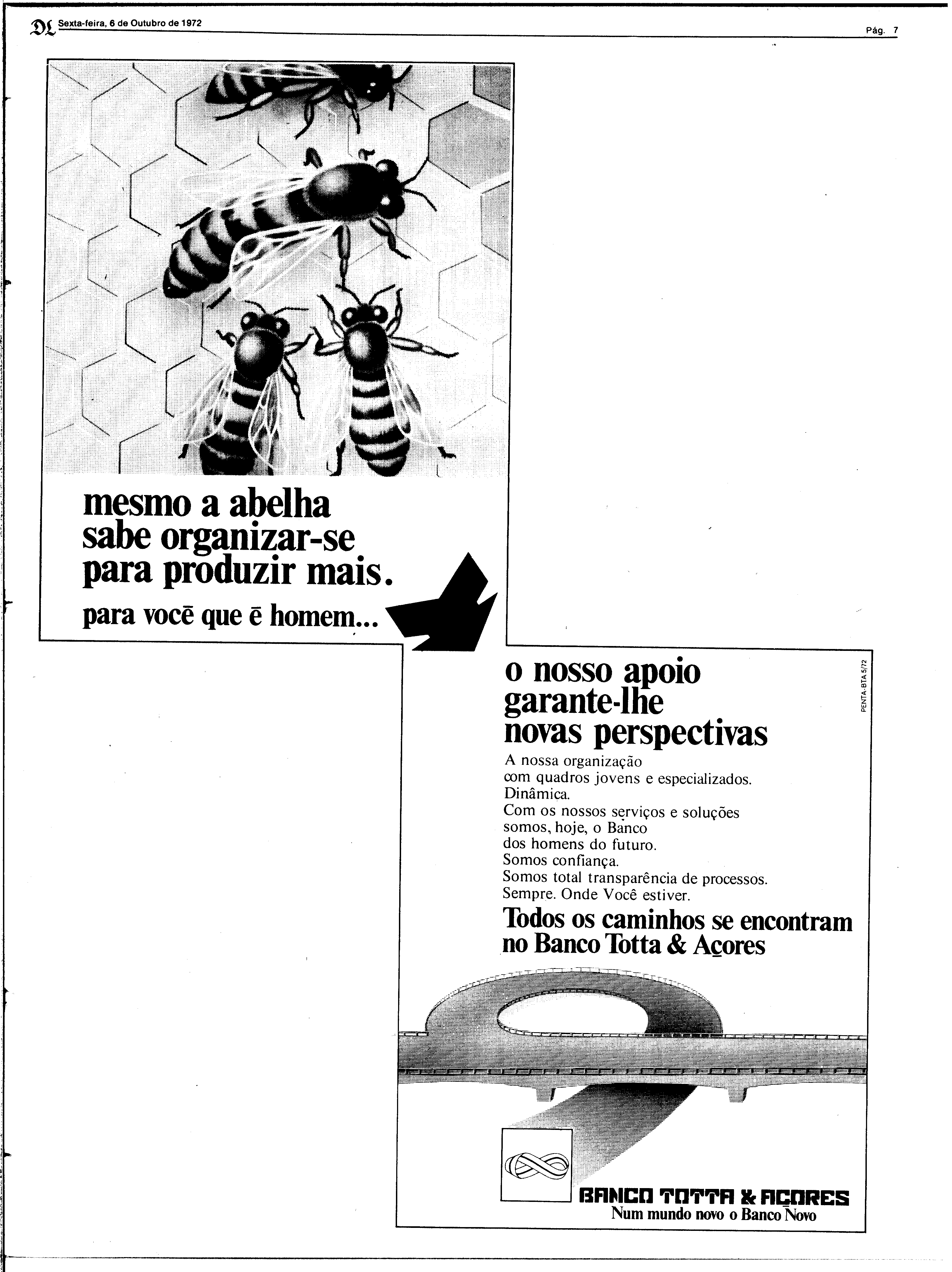 06815.165.26143- pag.7