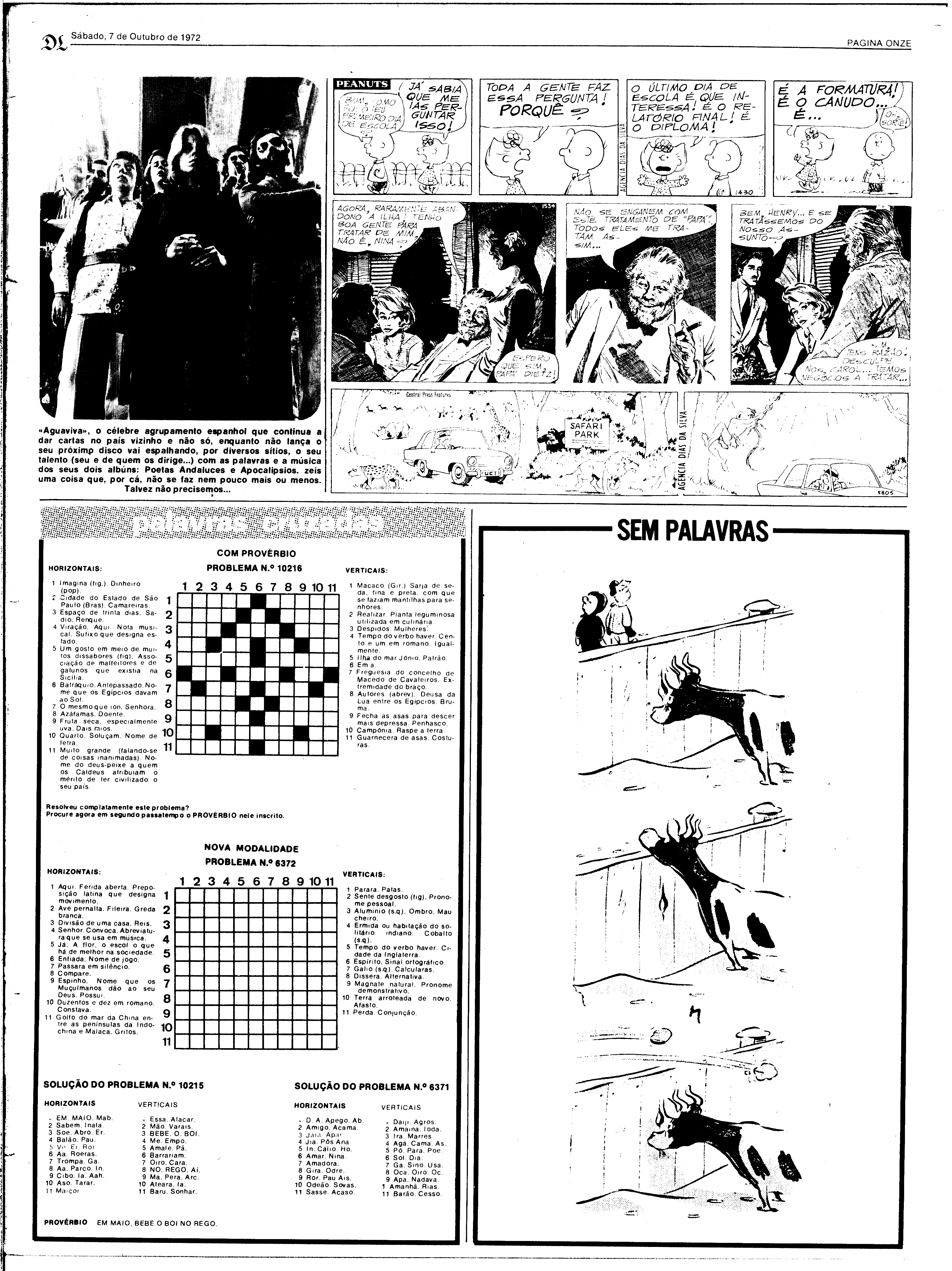 06815.165.26144- pag.31