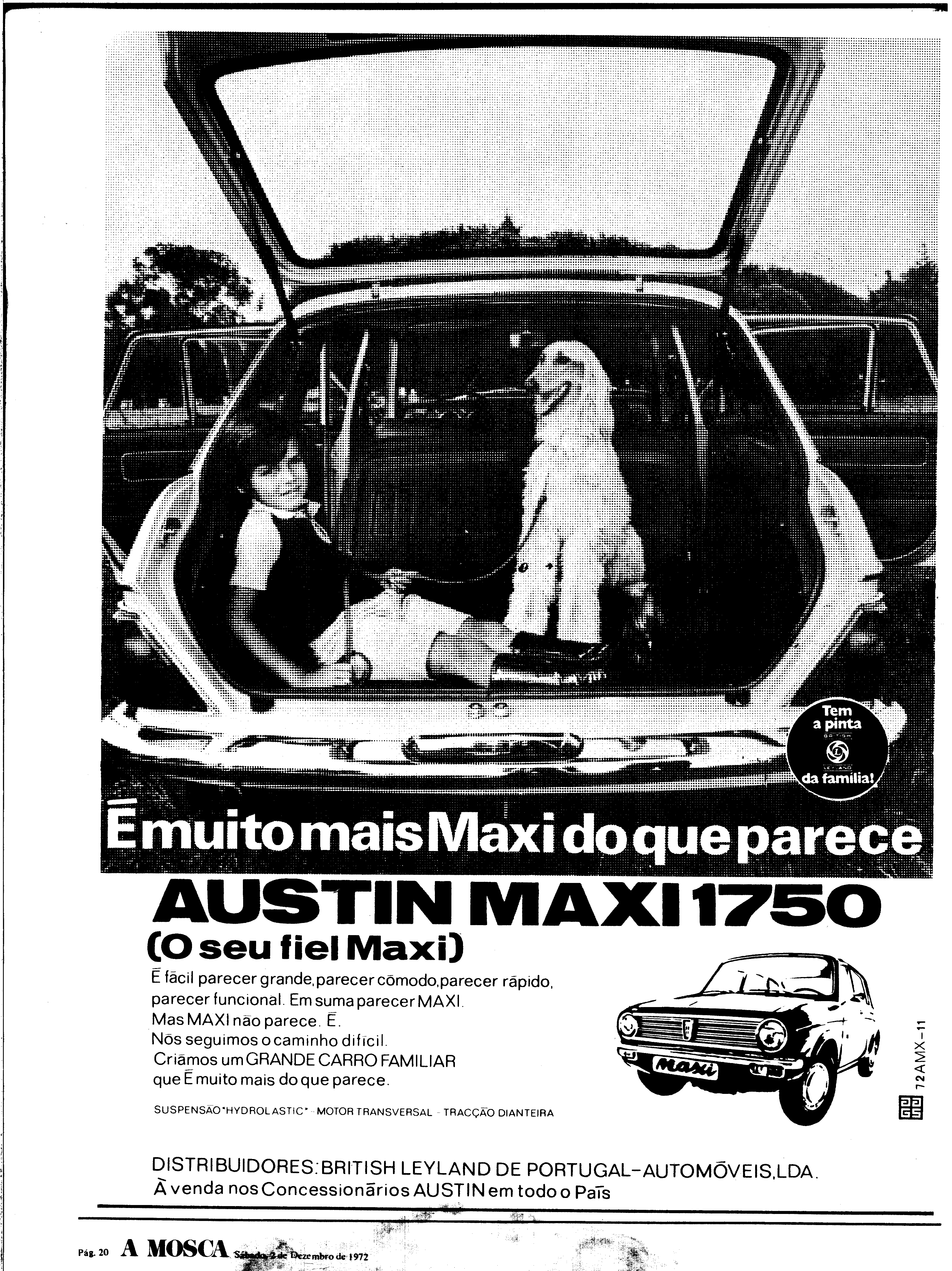 06815.165.26199- pag.53