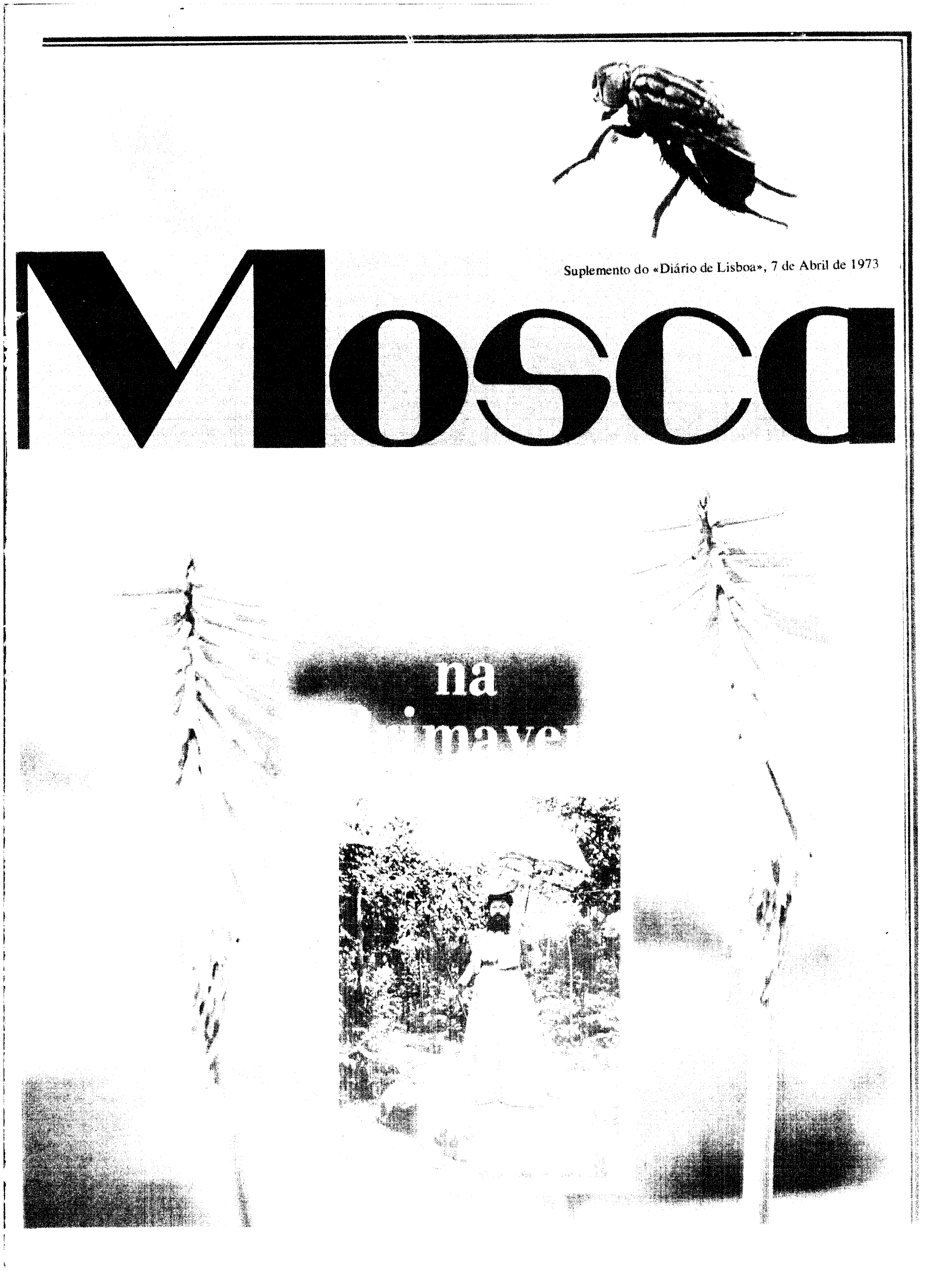 06817.167.26324- pag.34