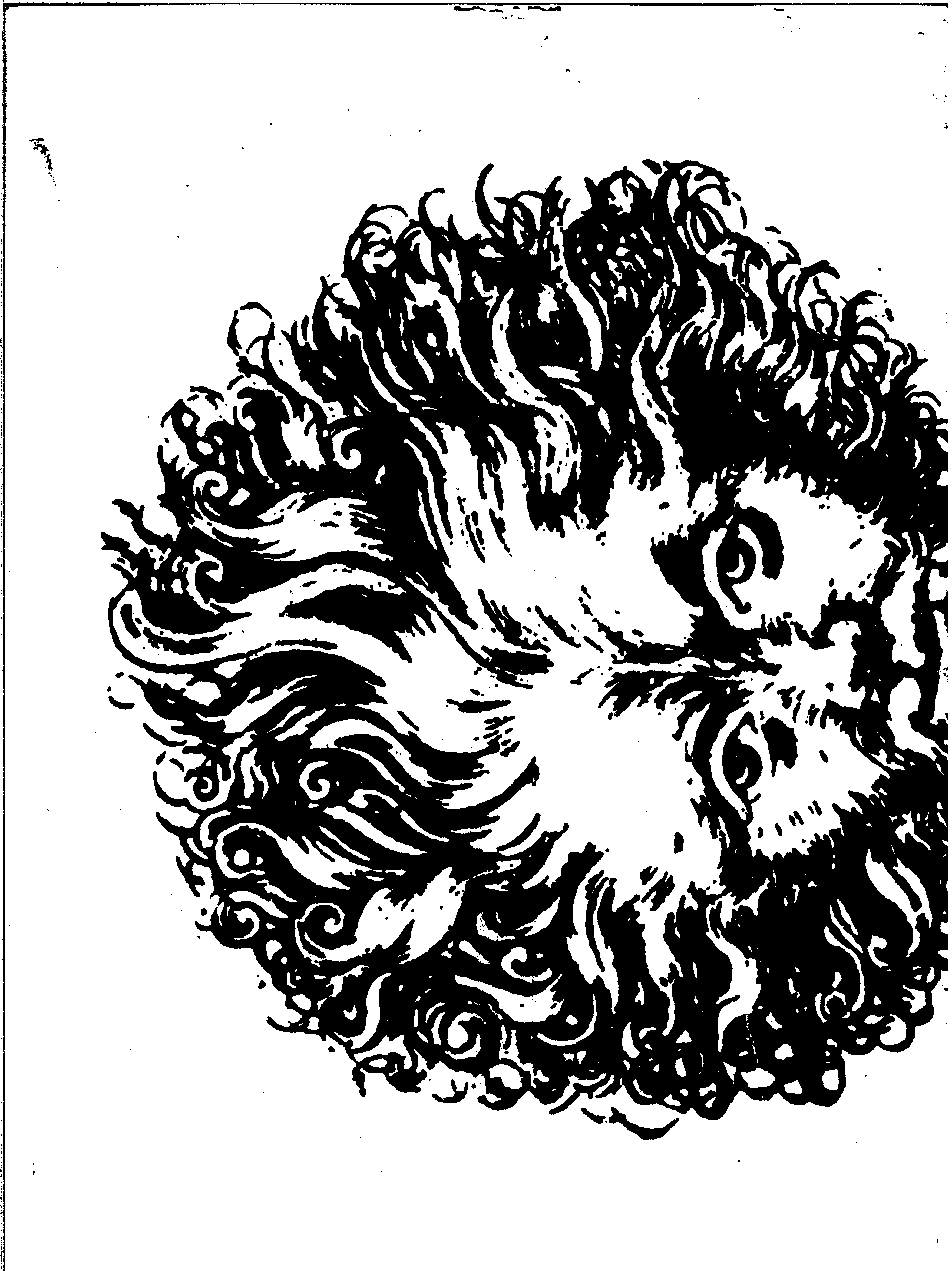 06817.167.26324- pag.41