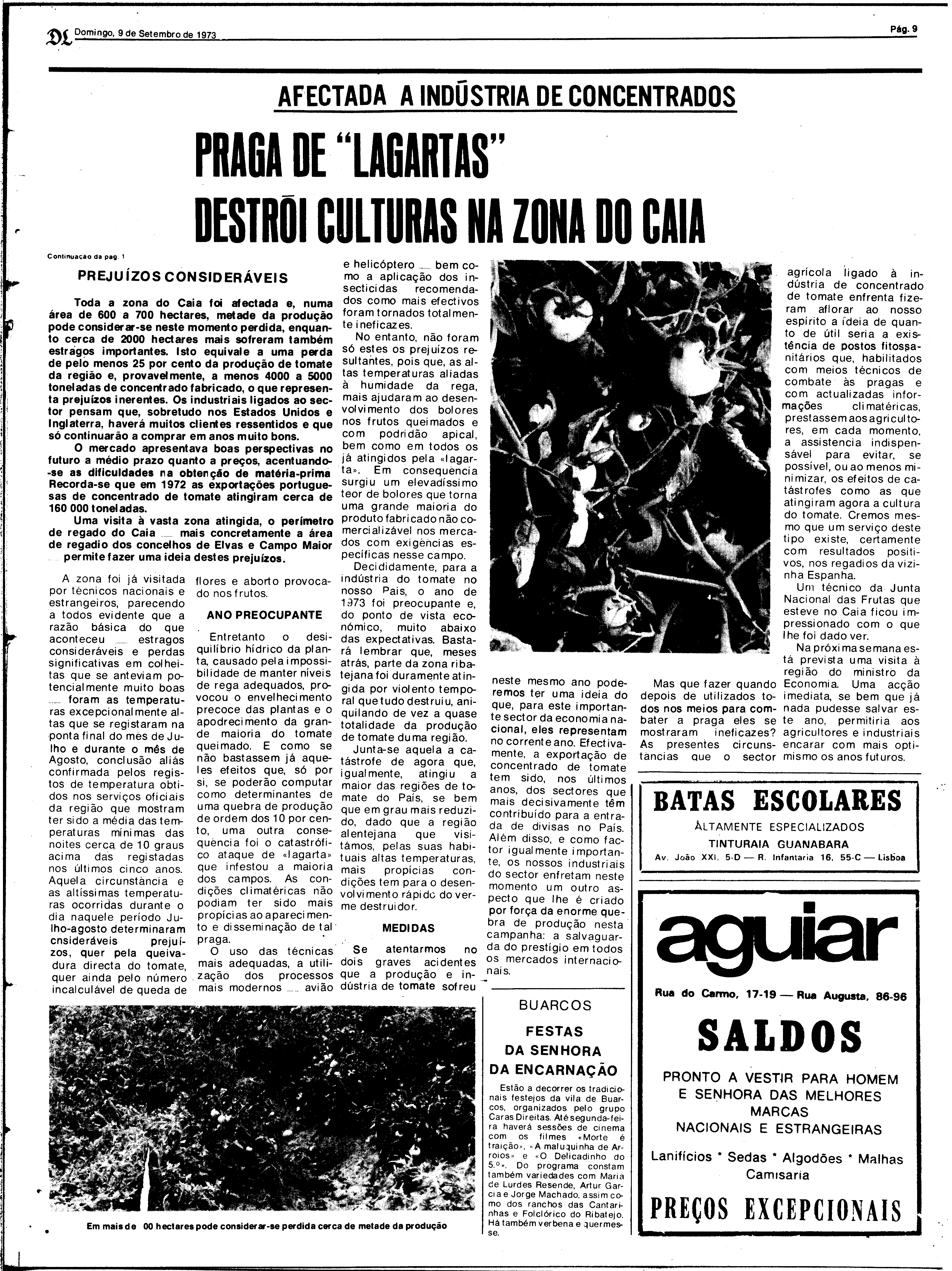 06818.168.26477- pag.9