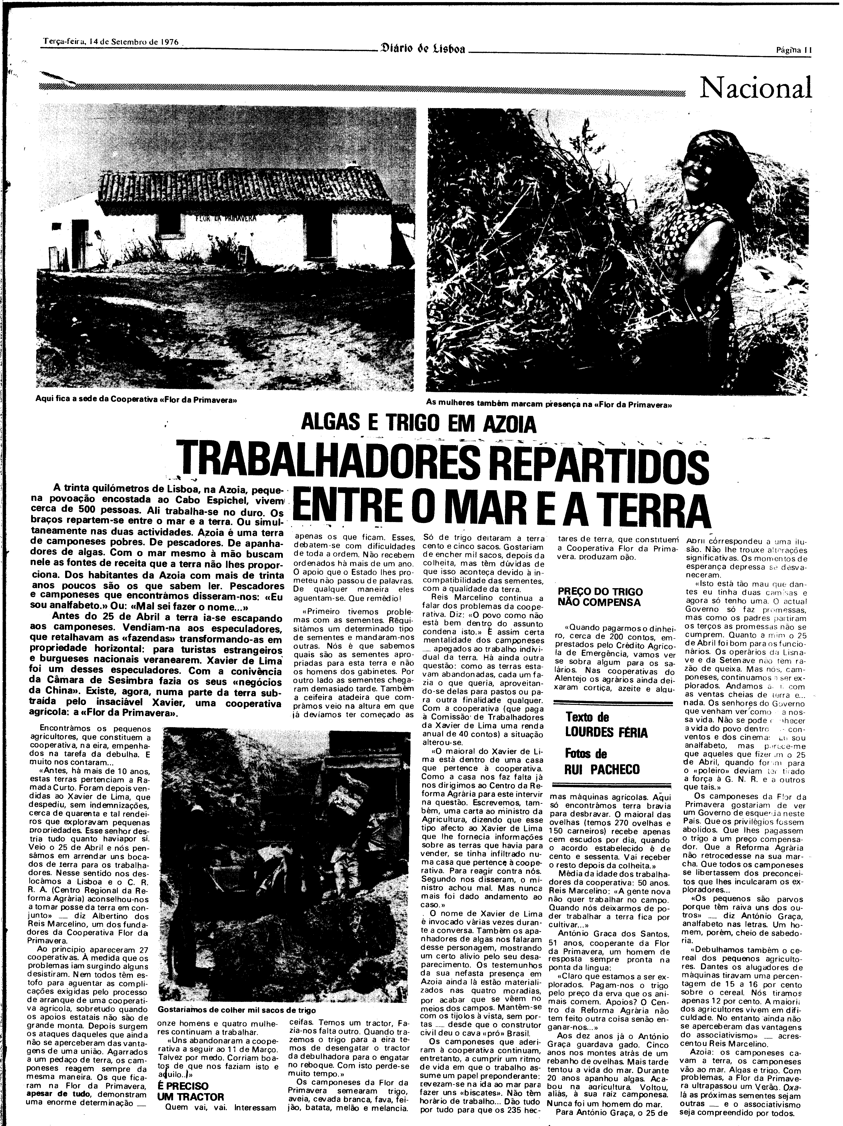 06825.175.27640- pag.11