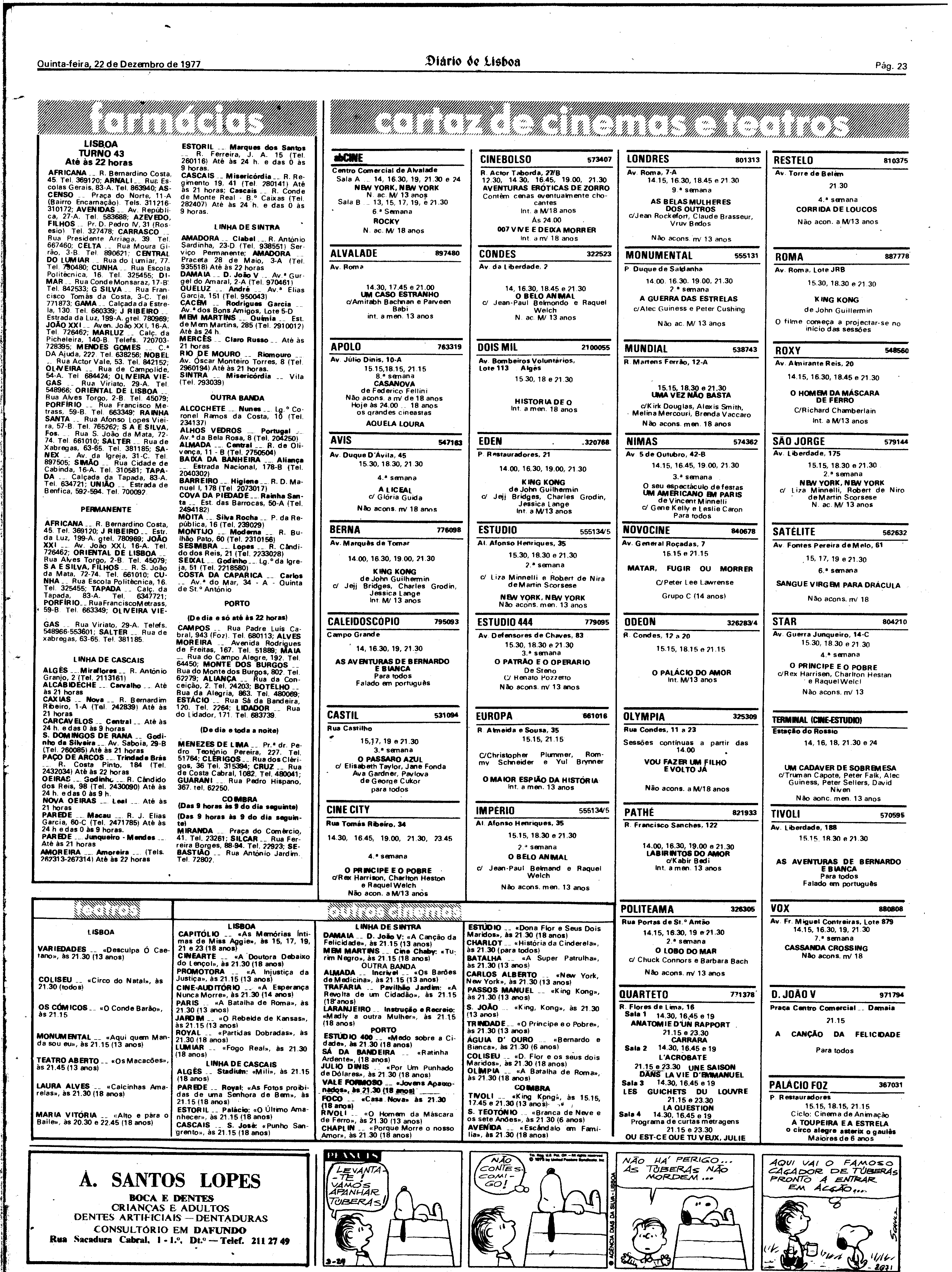 06828.178.28022- pag.23