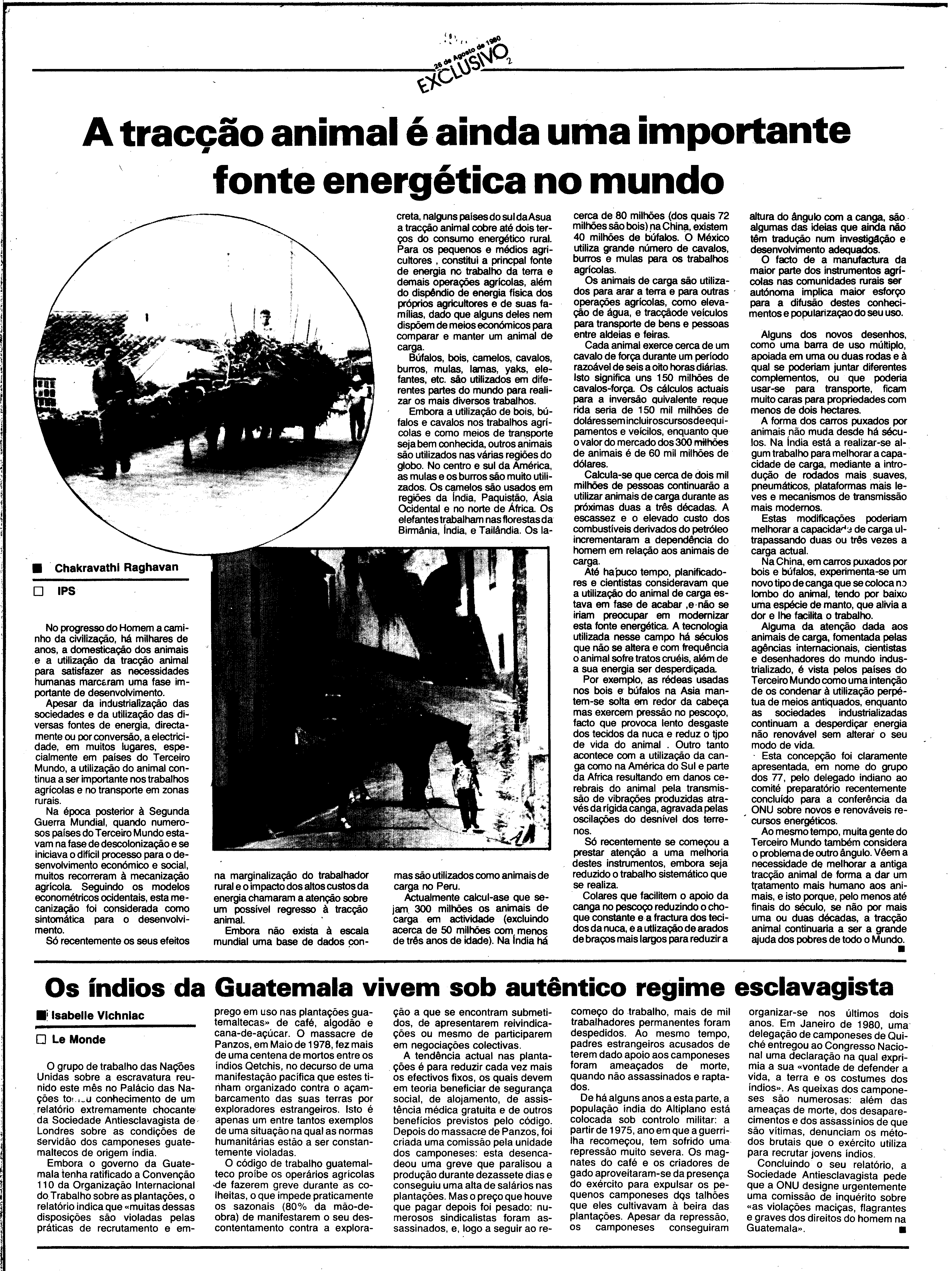 06834.184.28833- pag.26