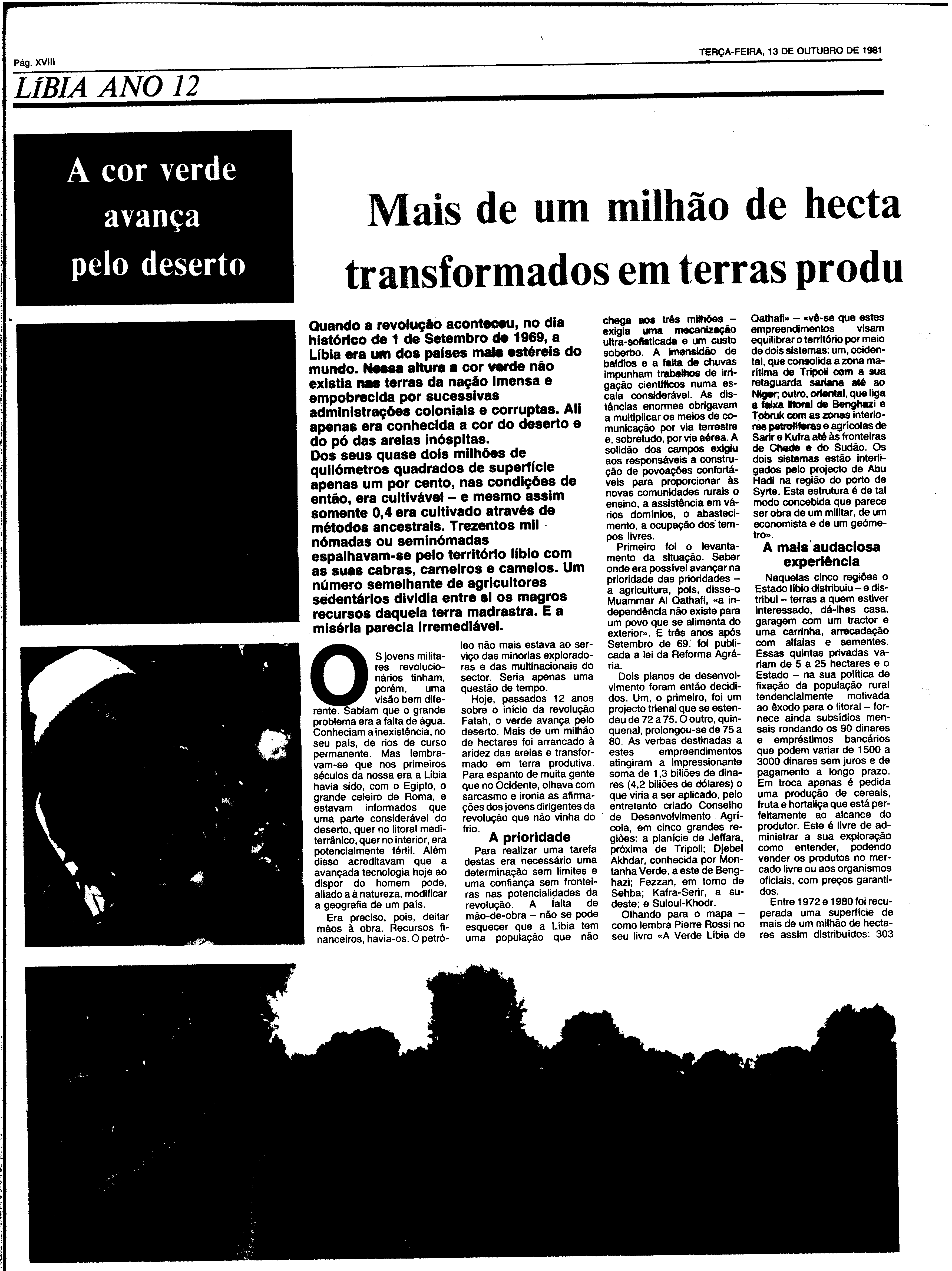 06836.186.29160- pag.41