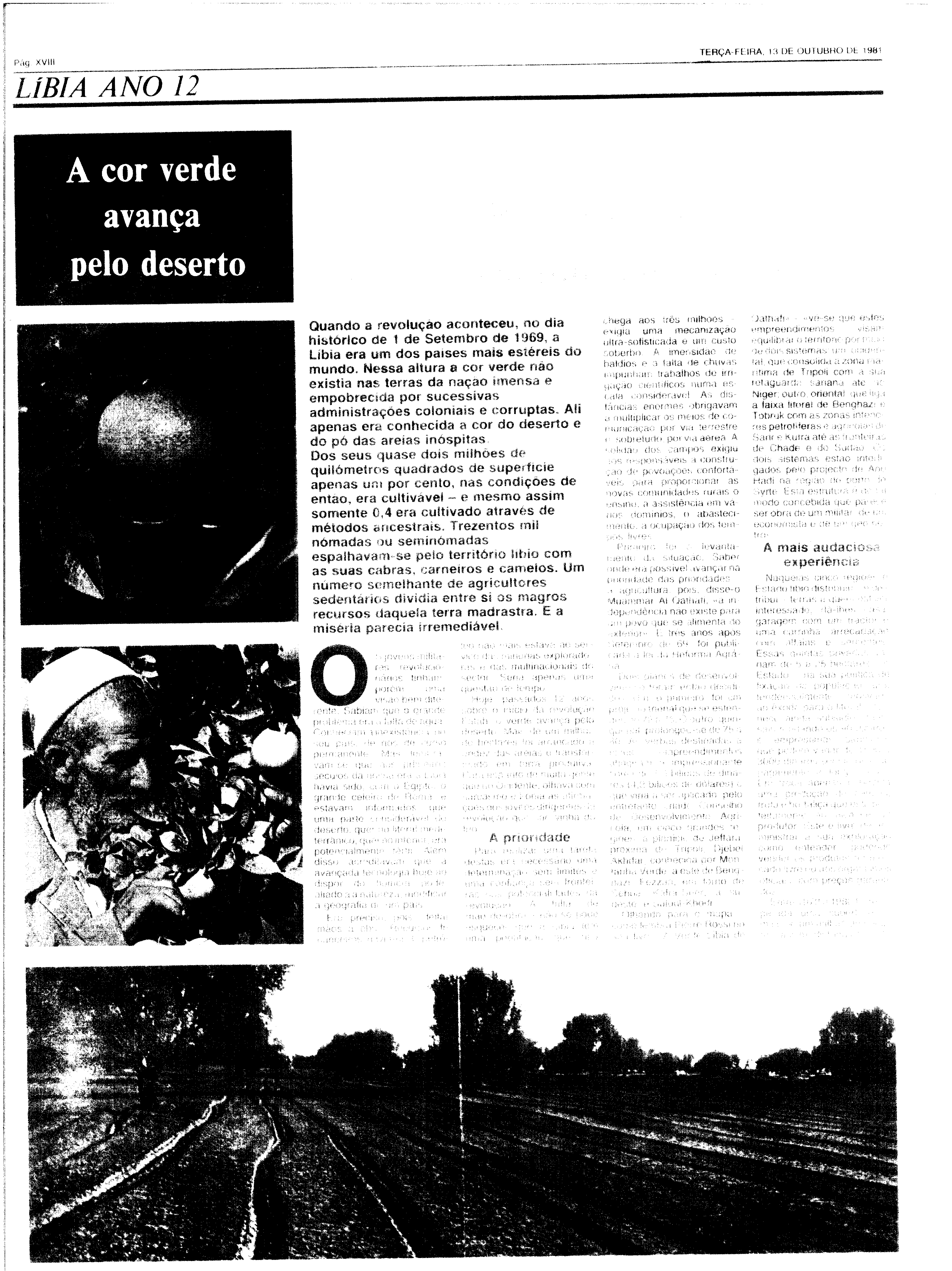 06836.186.29160- pag.42