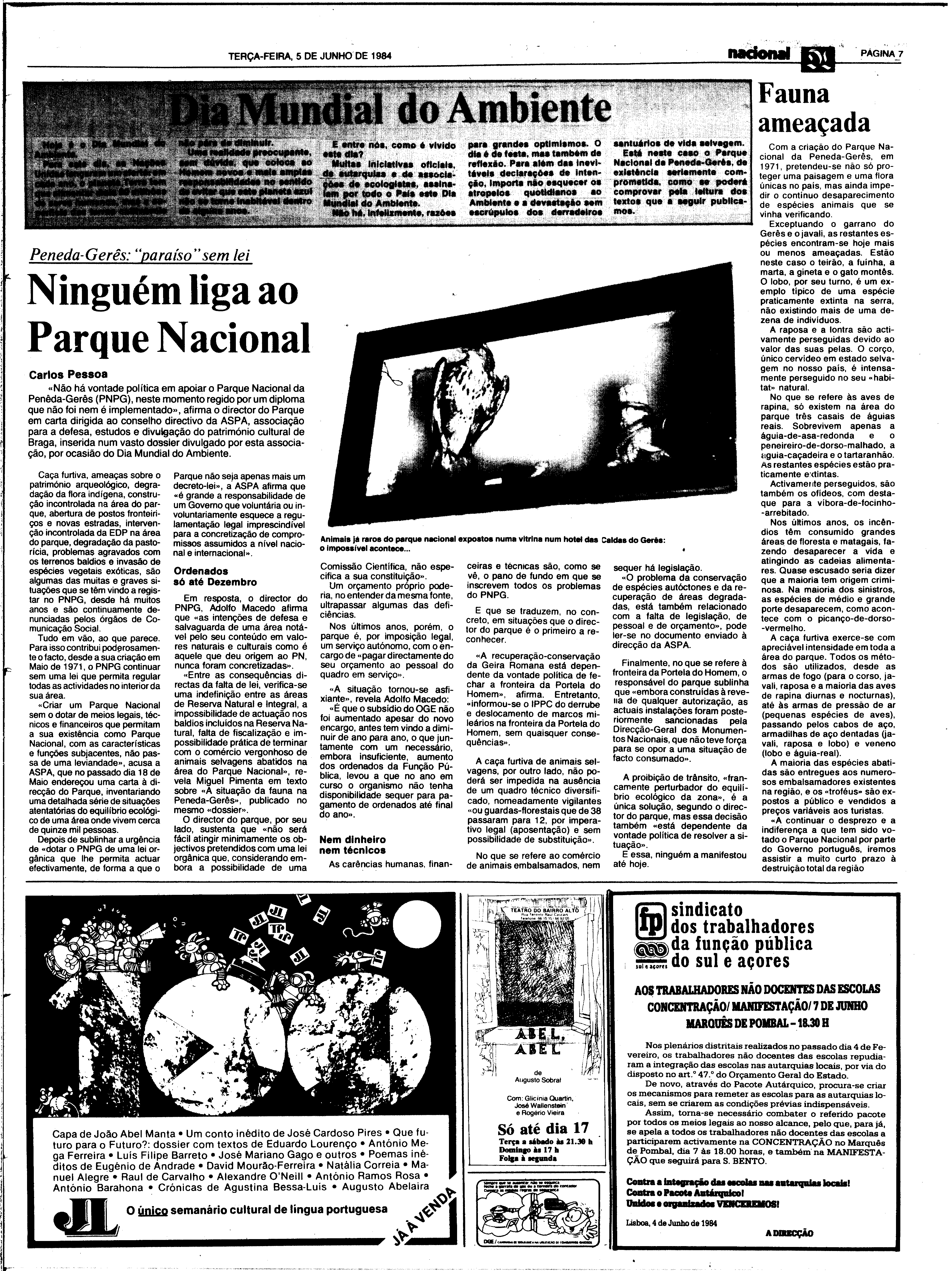 06843.193.29959- pag.7