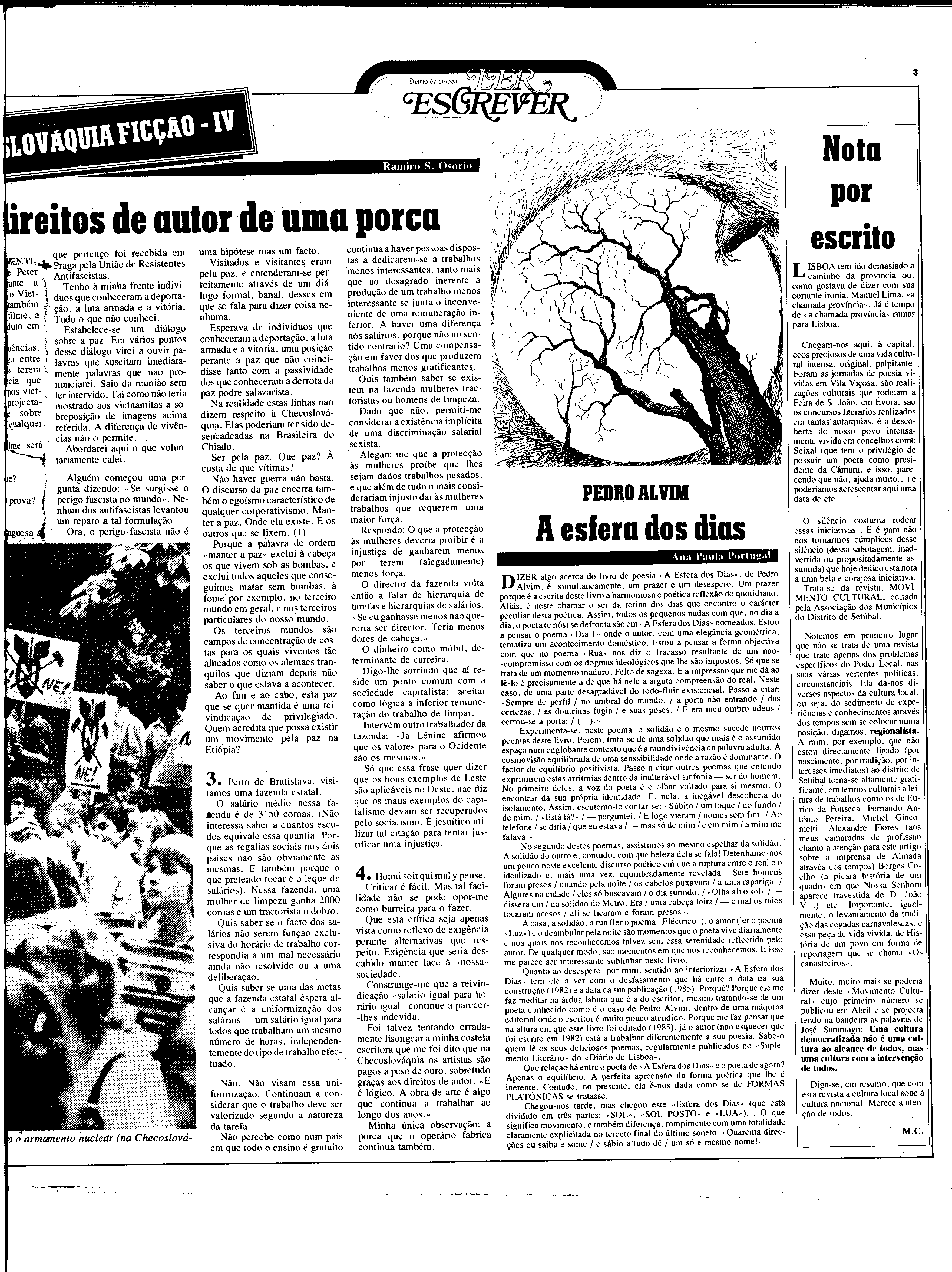 06845.195.30288- pag.31