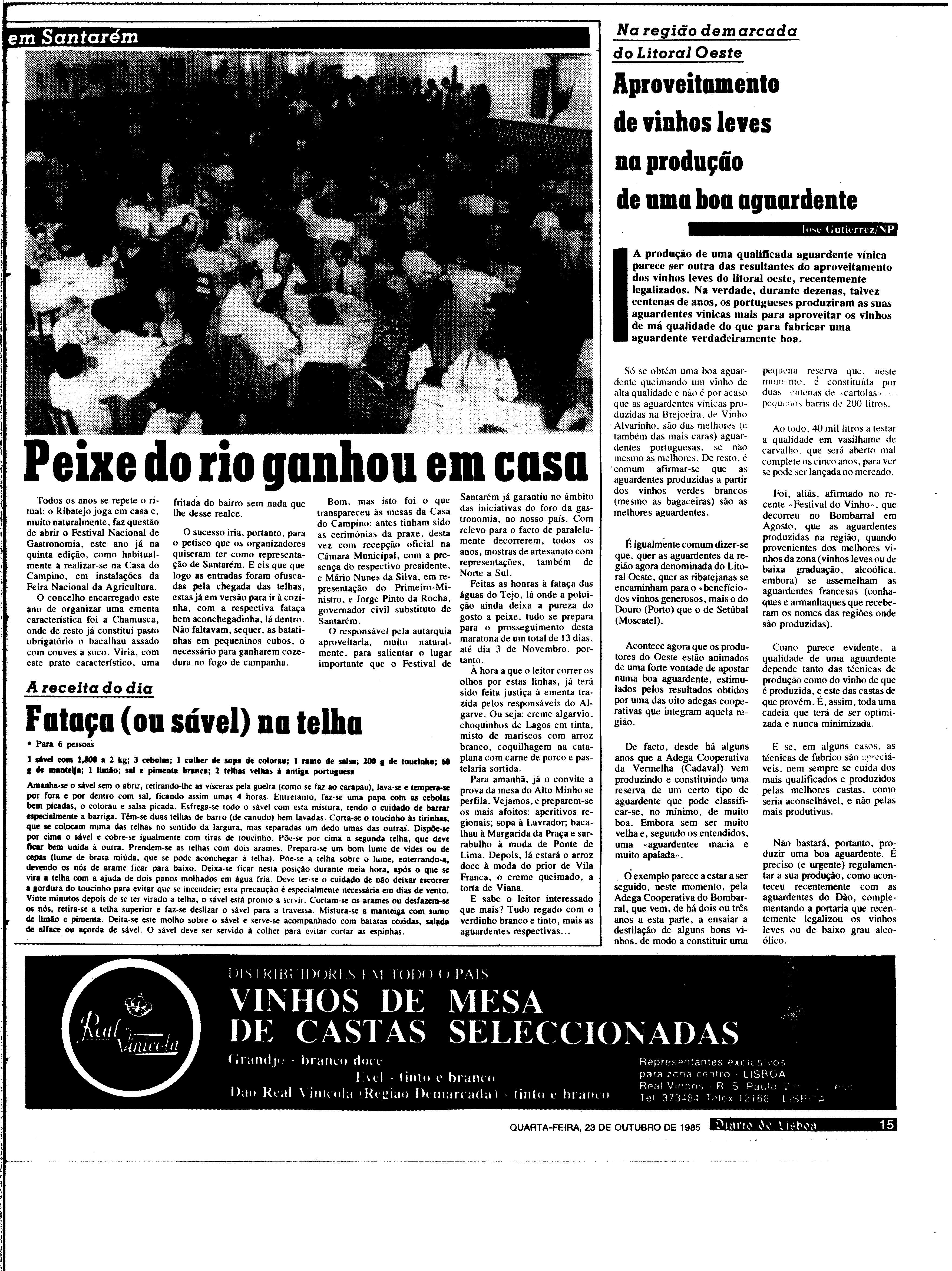 06879.196.30375- pag.15
