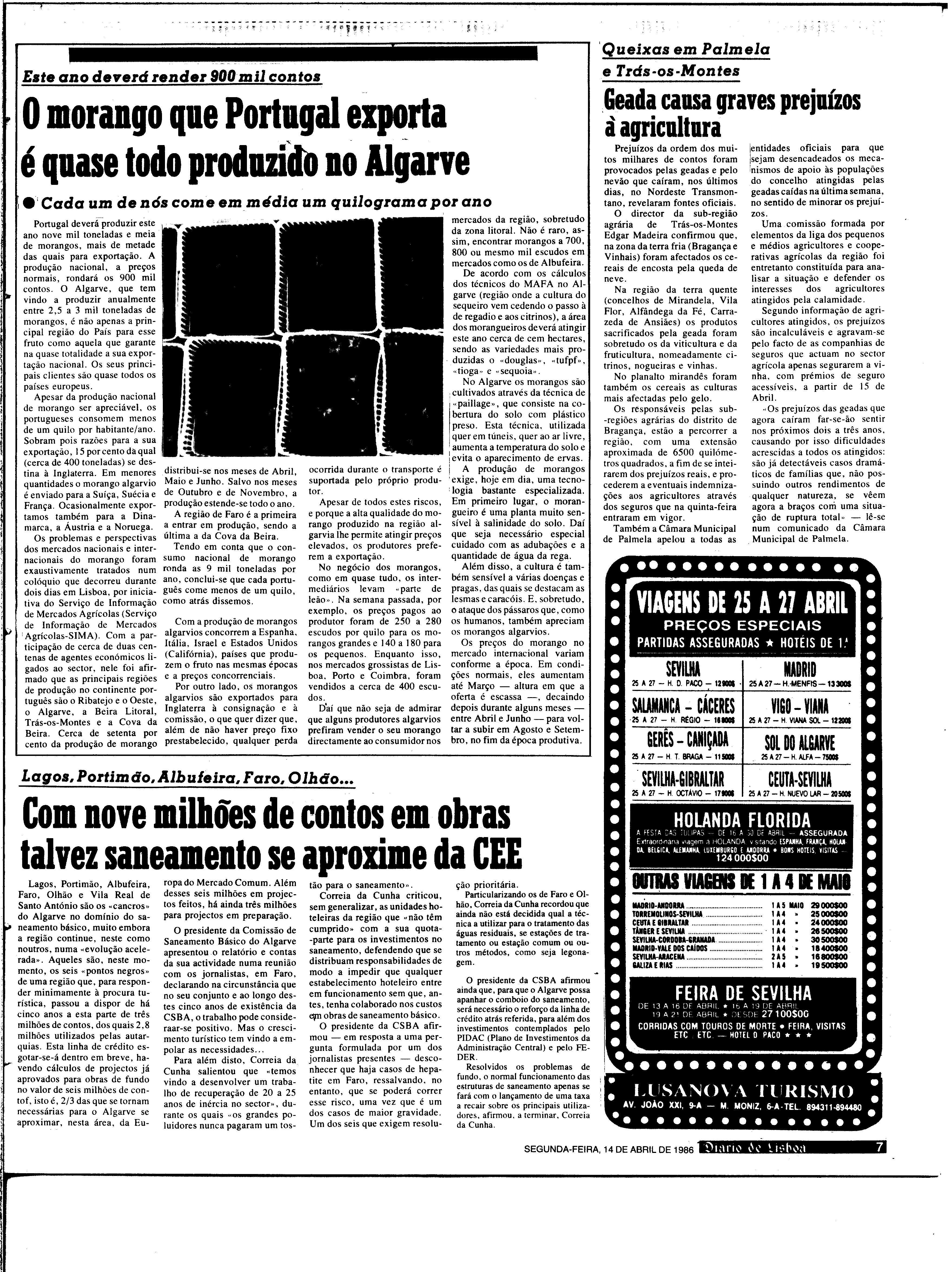 06880.197.30519- pag.7
