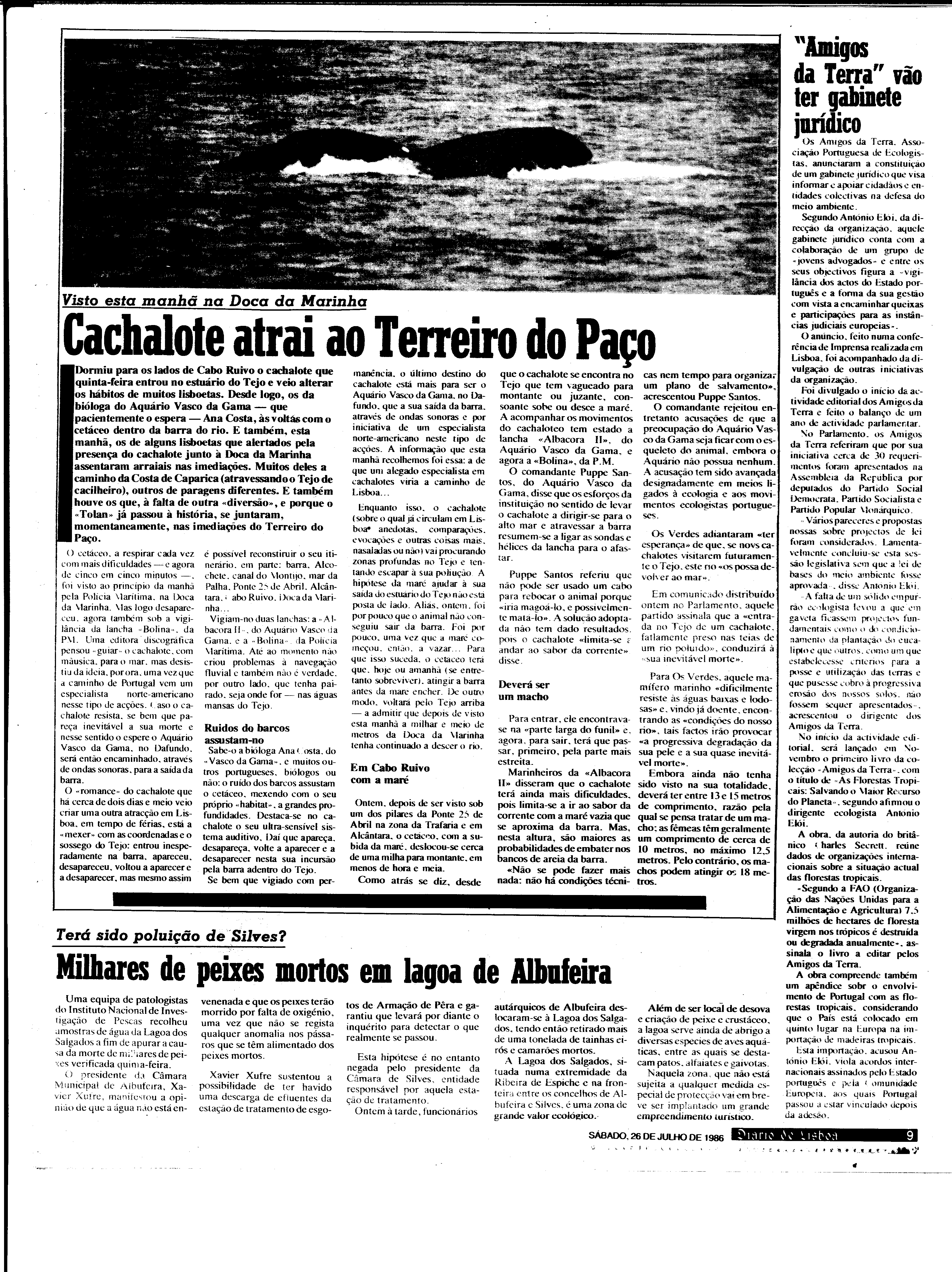 06881.198.30606- pag.9